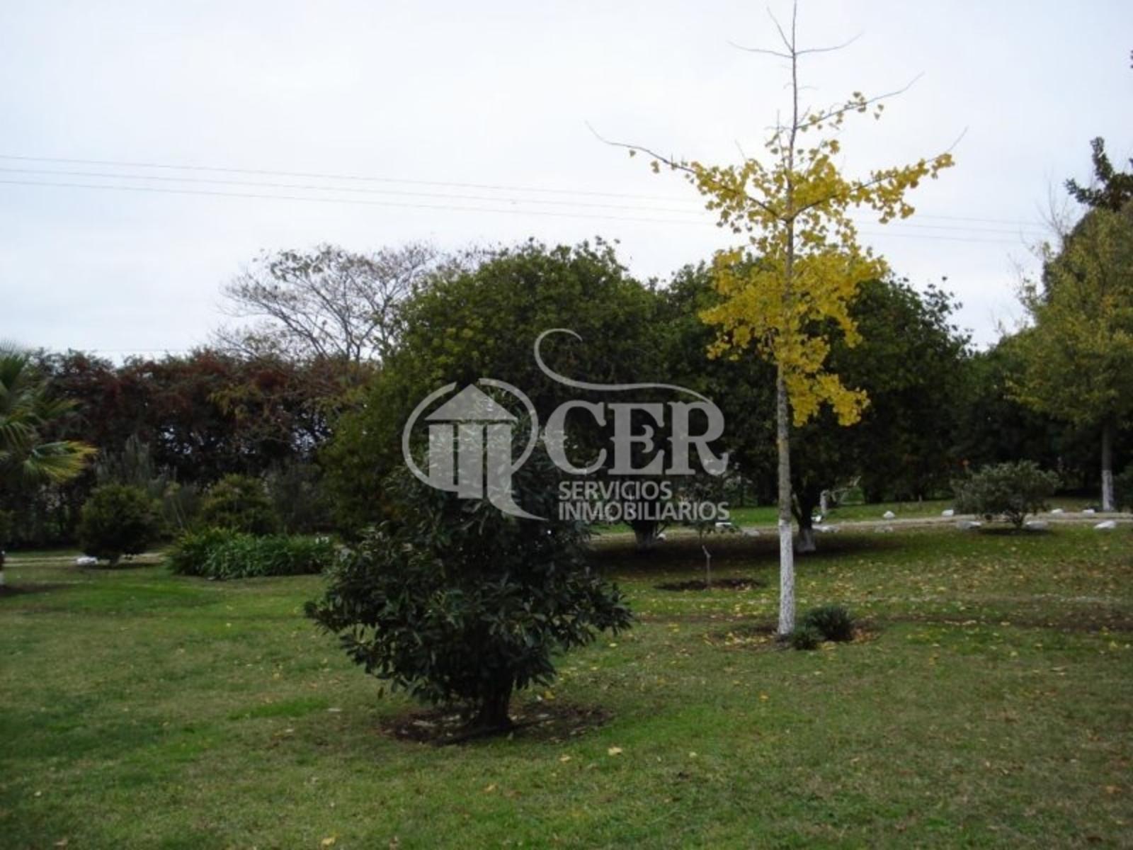CAMPO A 20 MINUTOS DE MAR DEL PLATA - 2