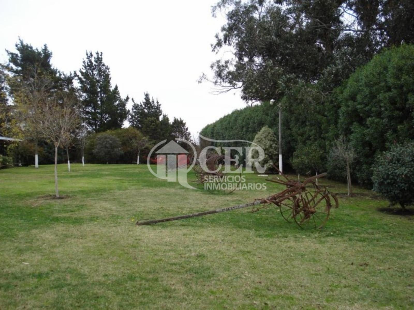 CAMPO A 20 MINUTOS DE MAR DEL PLATA - 17