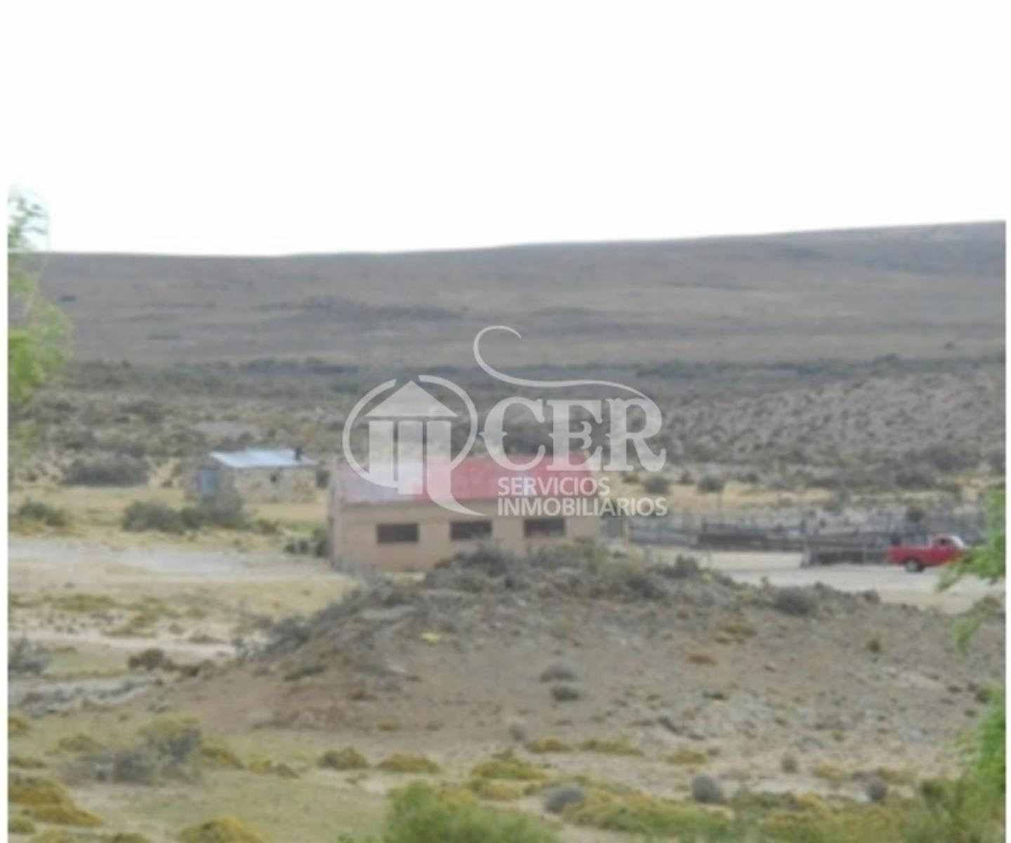 IMPORTANTE ESTANCIA EN SANTA CRUZ - 7