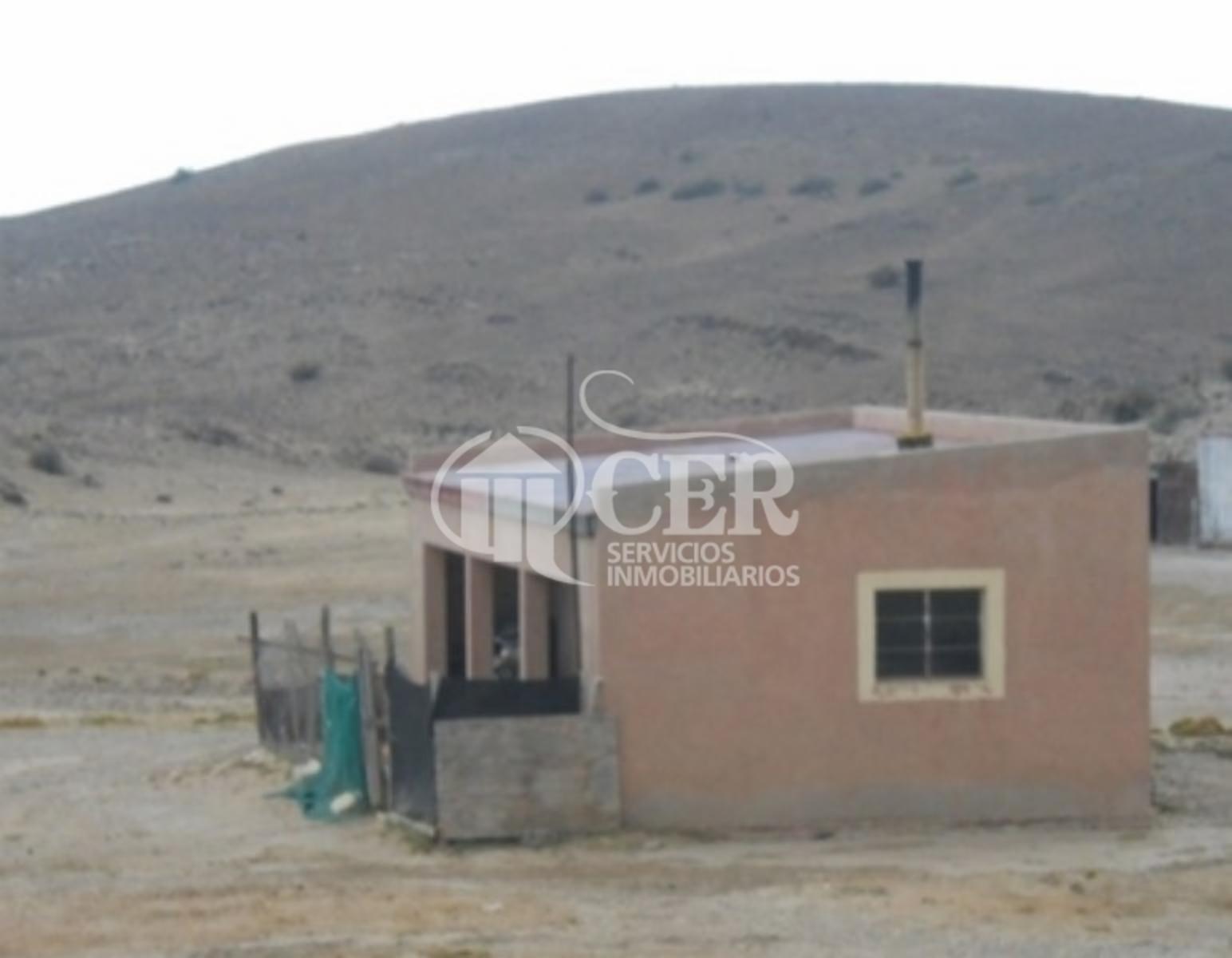 IMPORTANTE ESTANCIA EN SANTA CRUZ - 8