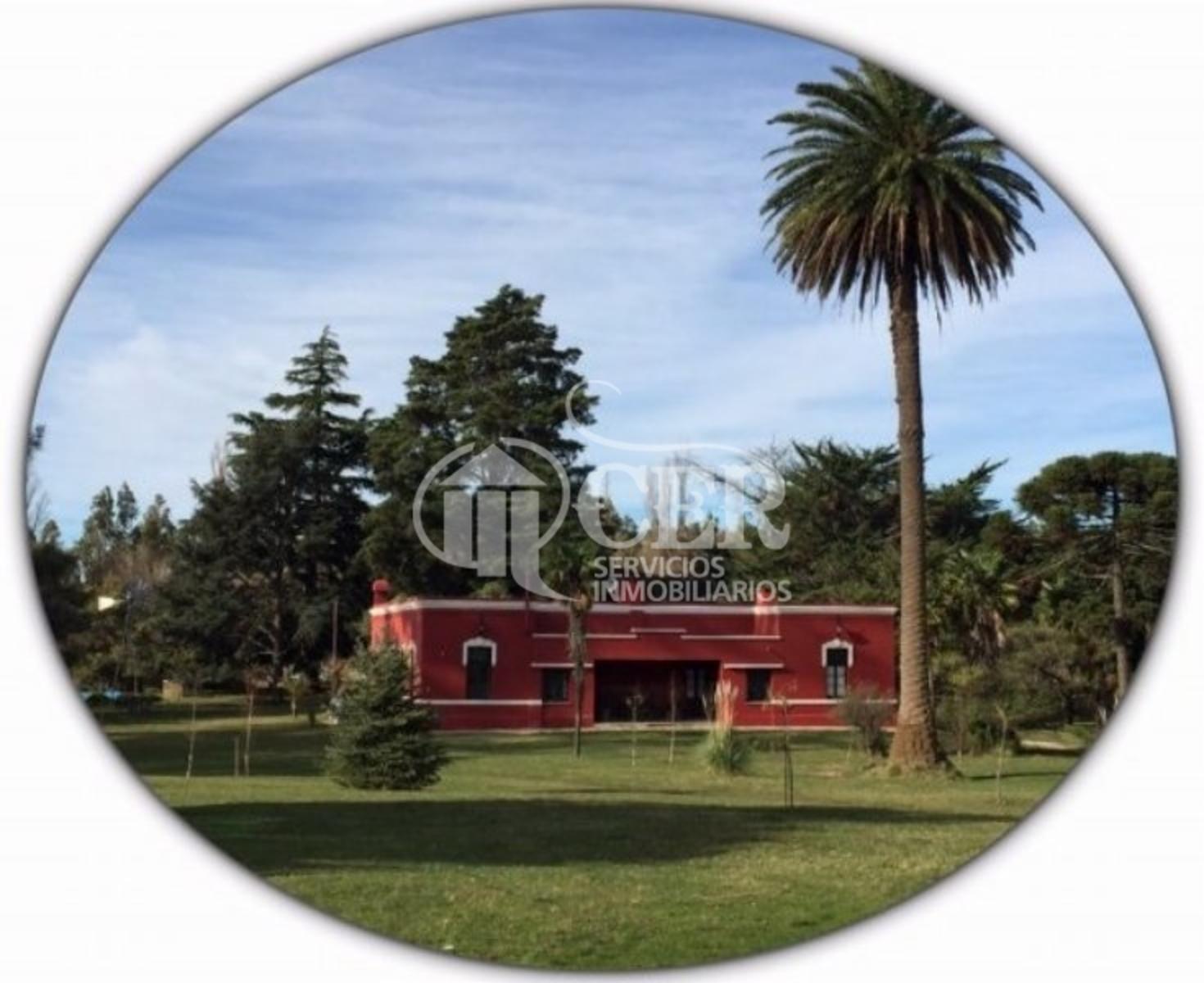 ESTANCIA C/ EXCELENTE RENTABILIDAD - 11