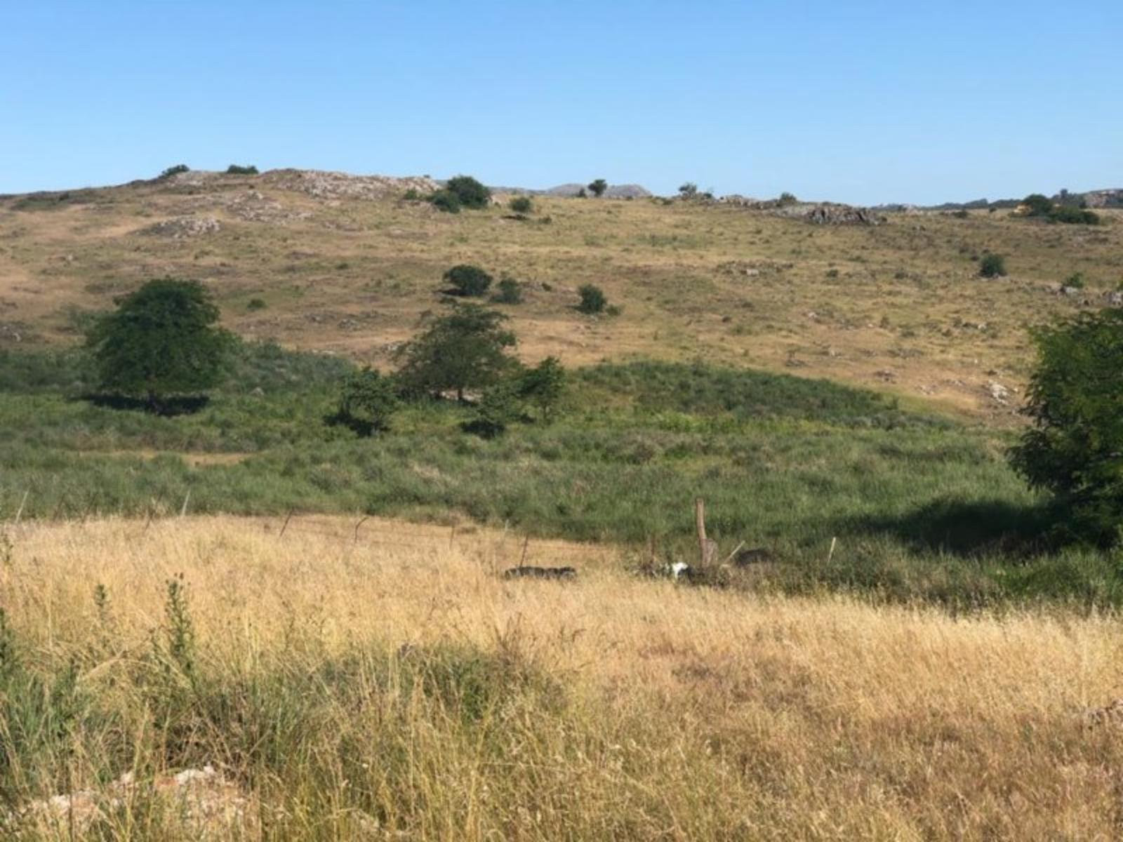 5 LOTES EN BLOCK EN TANDIL