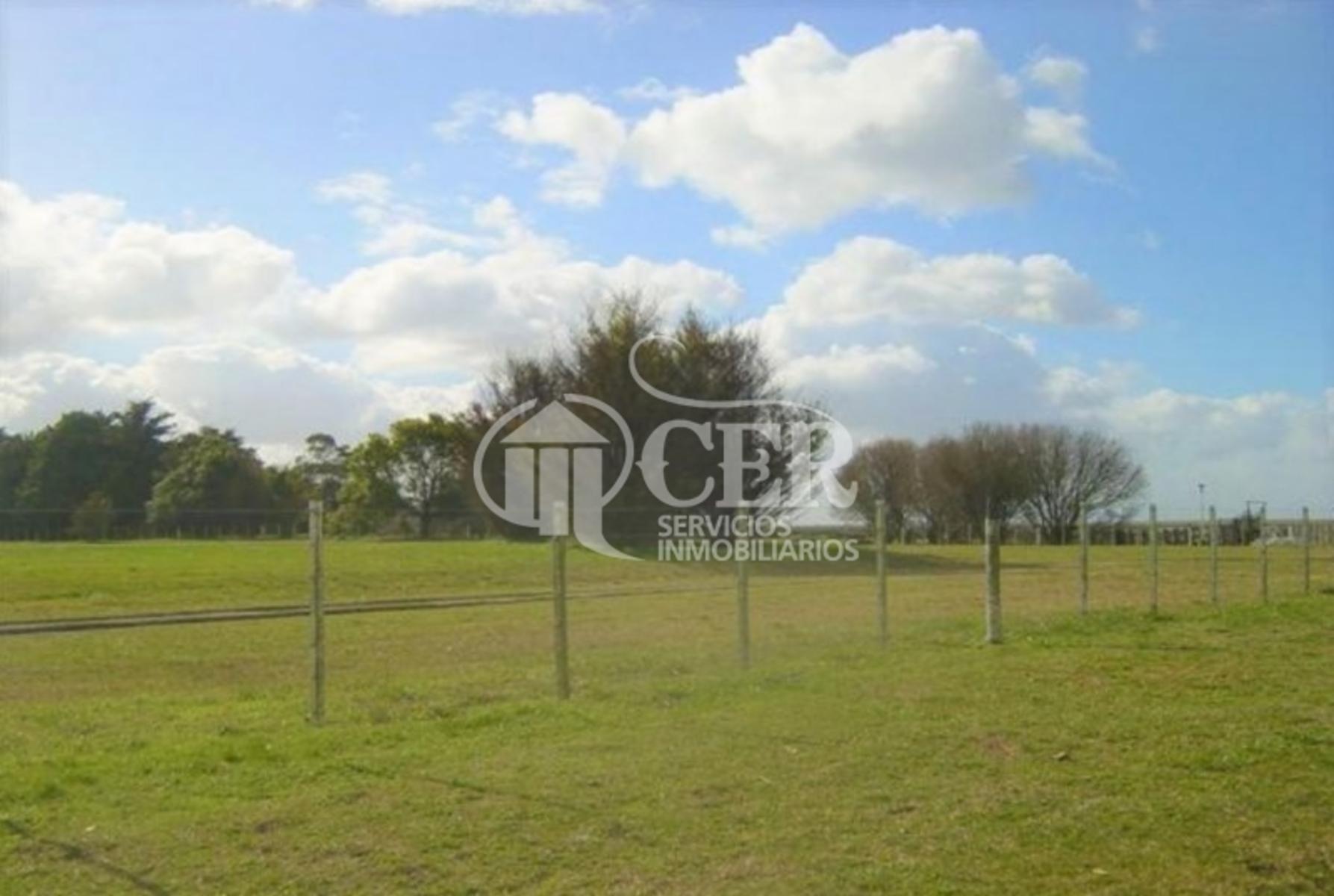 550 HECTAREAS EN MAR CHIQUITA LINDERAS ALBUFERA Y RUTA 11 - 8
