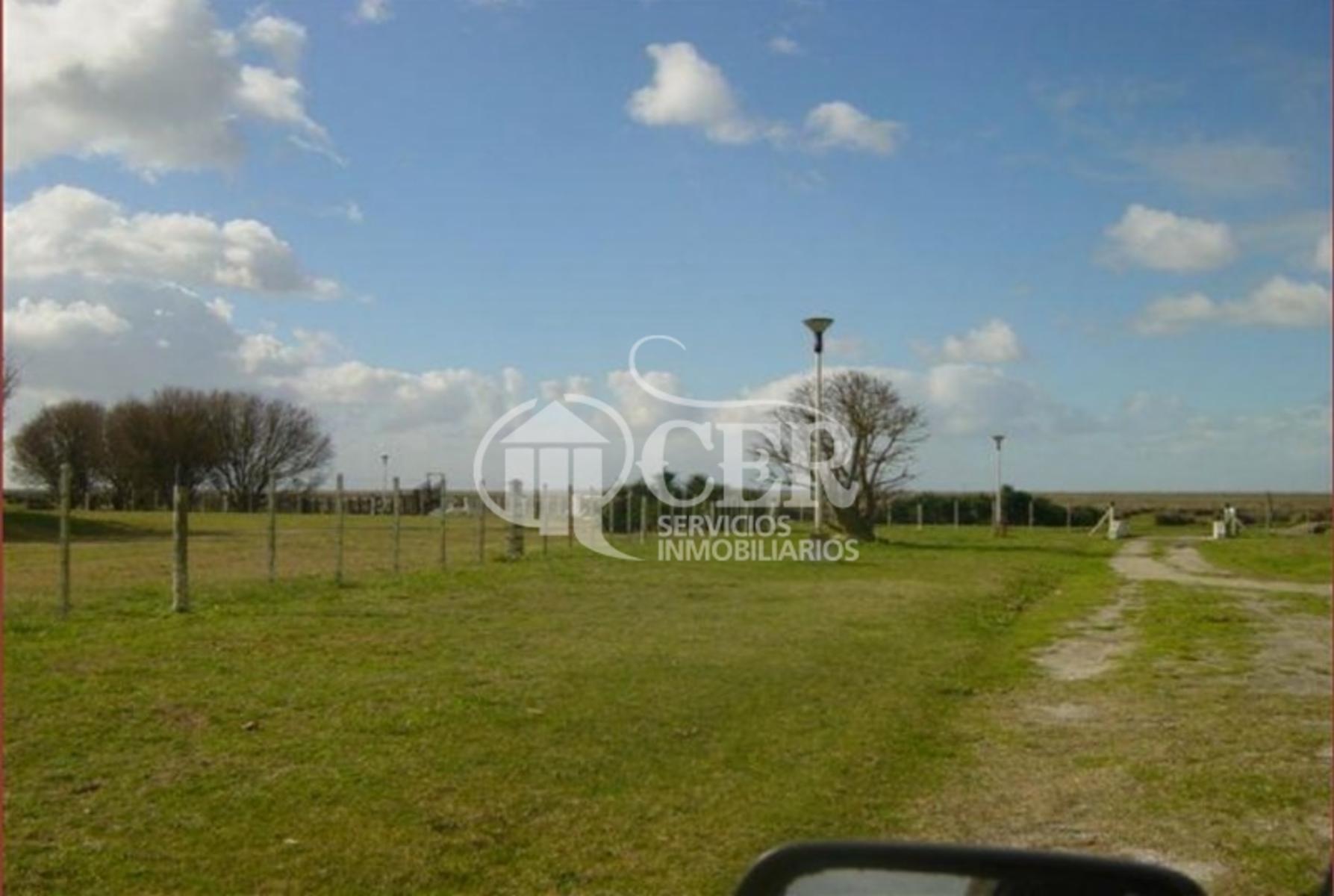 550 HECTAREAS EN MAR CHIQUITA LINDERAS ALBUFERA Y RUTA 11 - 10
