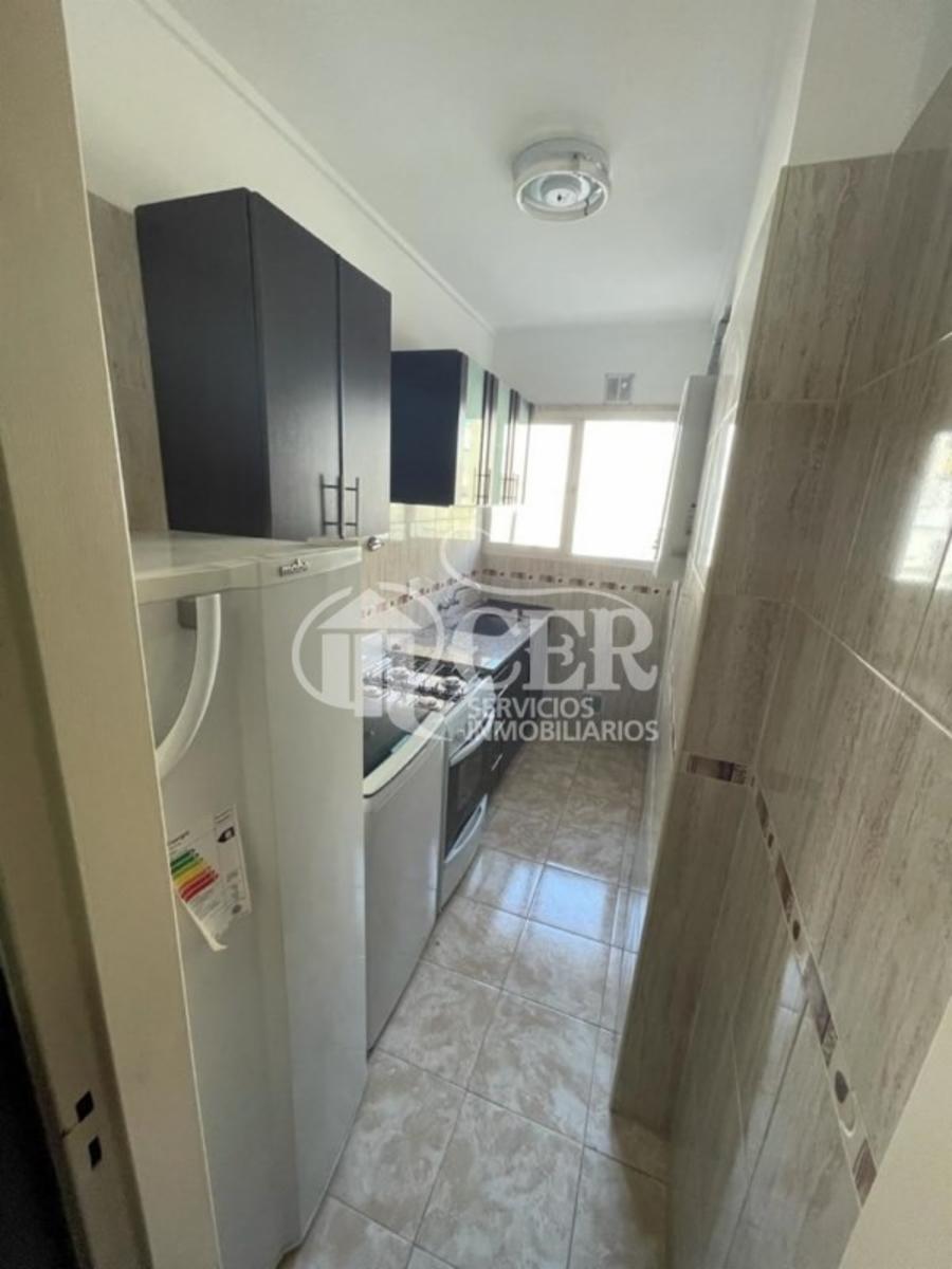 1 AMB AL FRENTE RECICLADO — foto 7