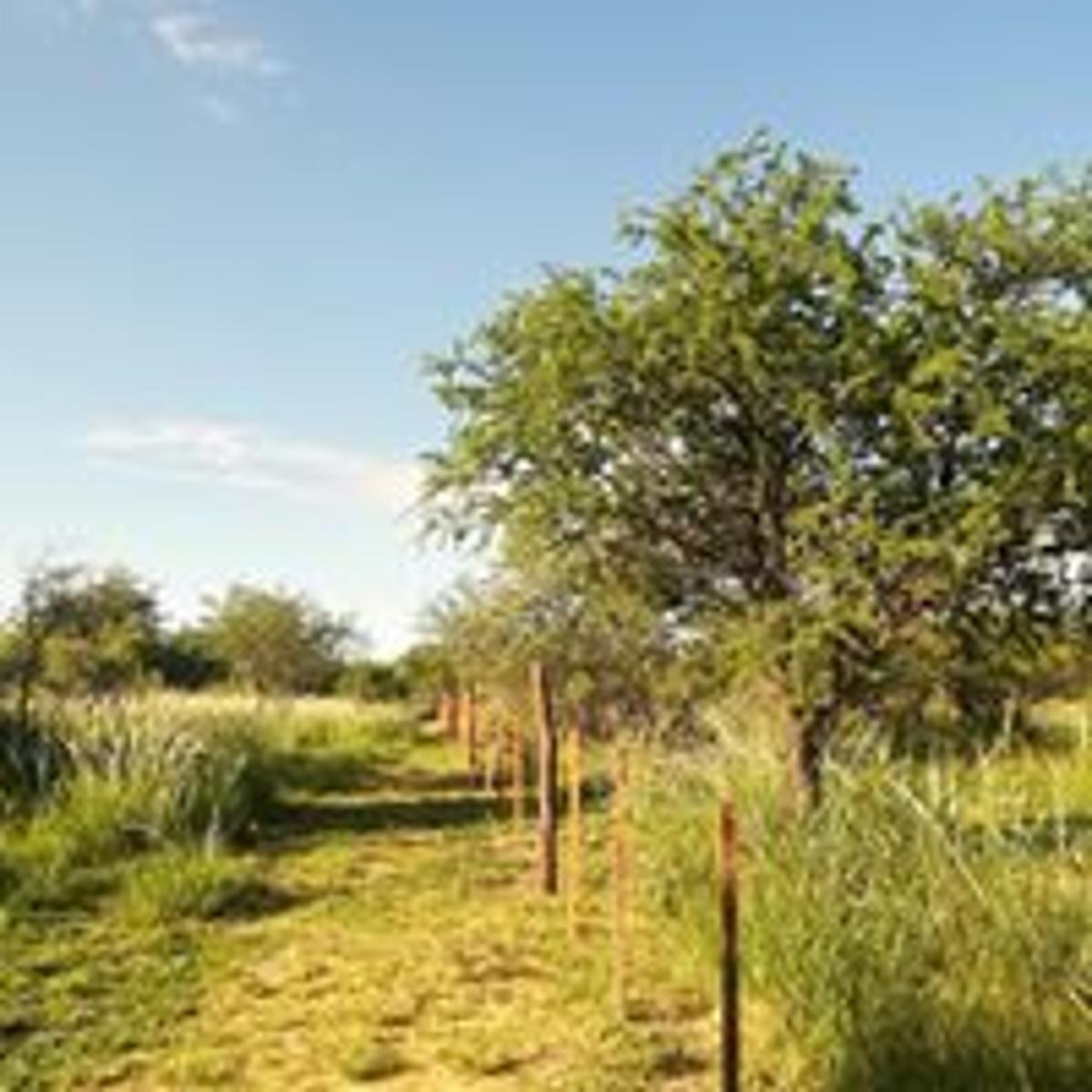 Hermoso Terreno en Villa de Las Rosas, Traslasierra — foto 3