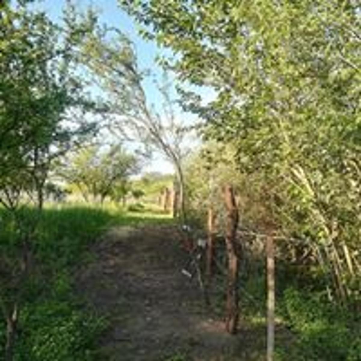 Hermoso Terreno en Villa de Las Rosas, Traslasierra — foto 5