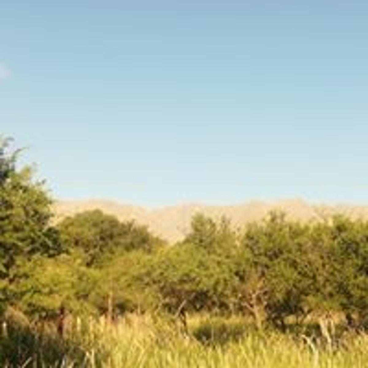 Hermoso Terreno en Villa de Las Rosas, Traslasierra — foto 7
