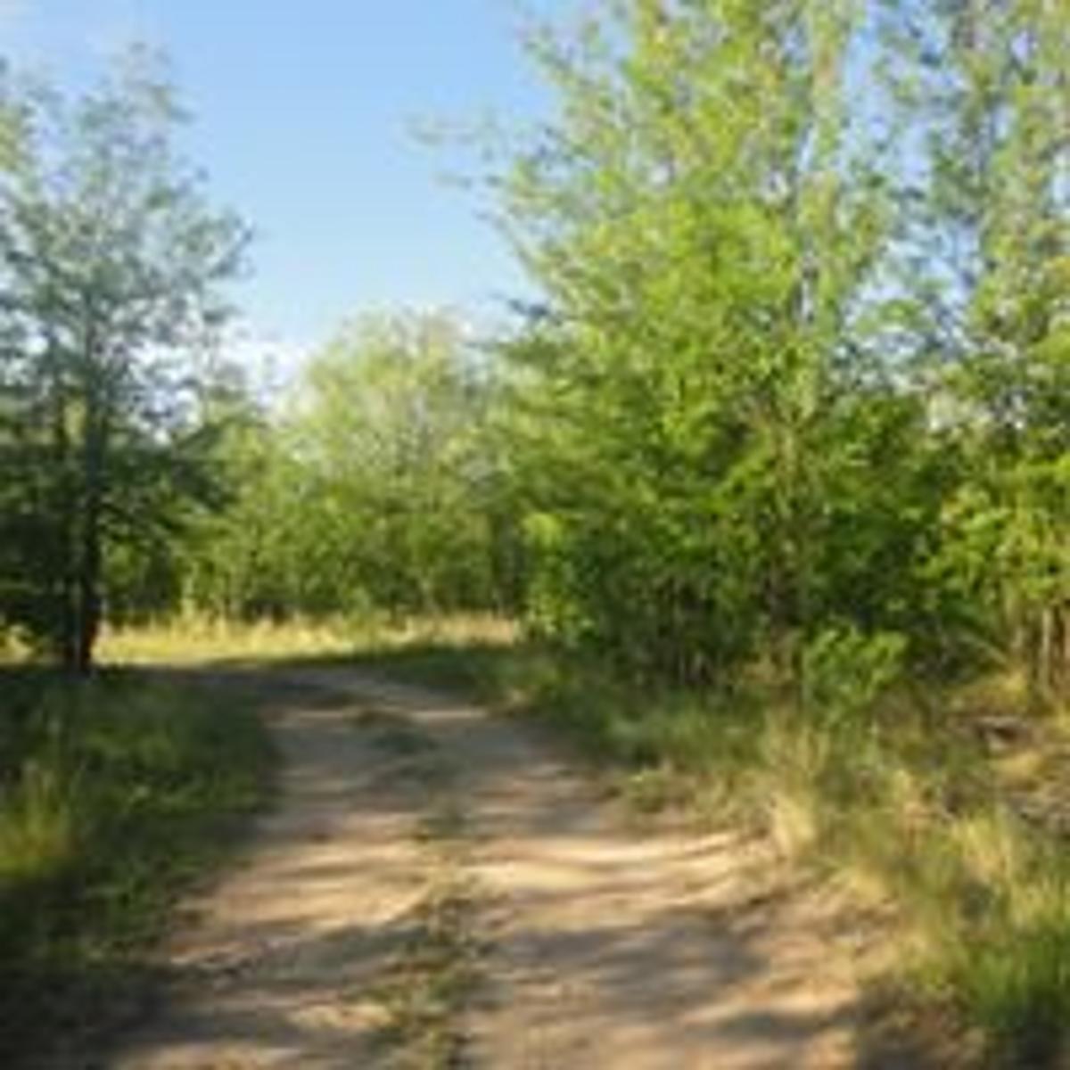 Hermoso Terreno en Las Rabonas, Traslasierra - 3