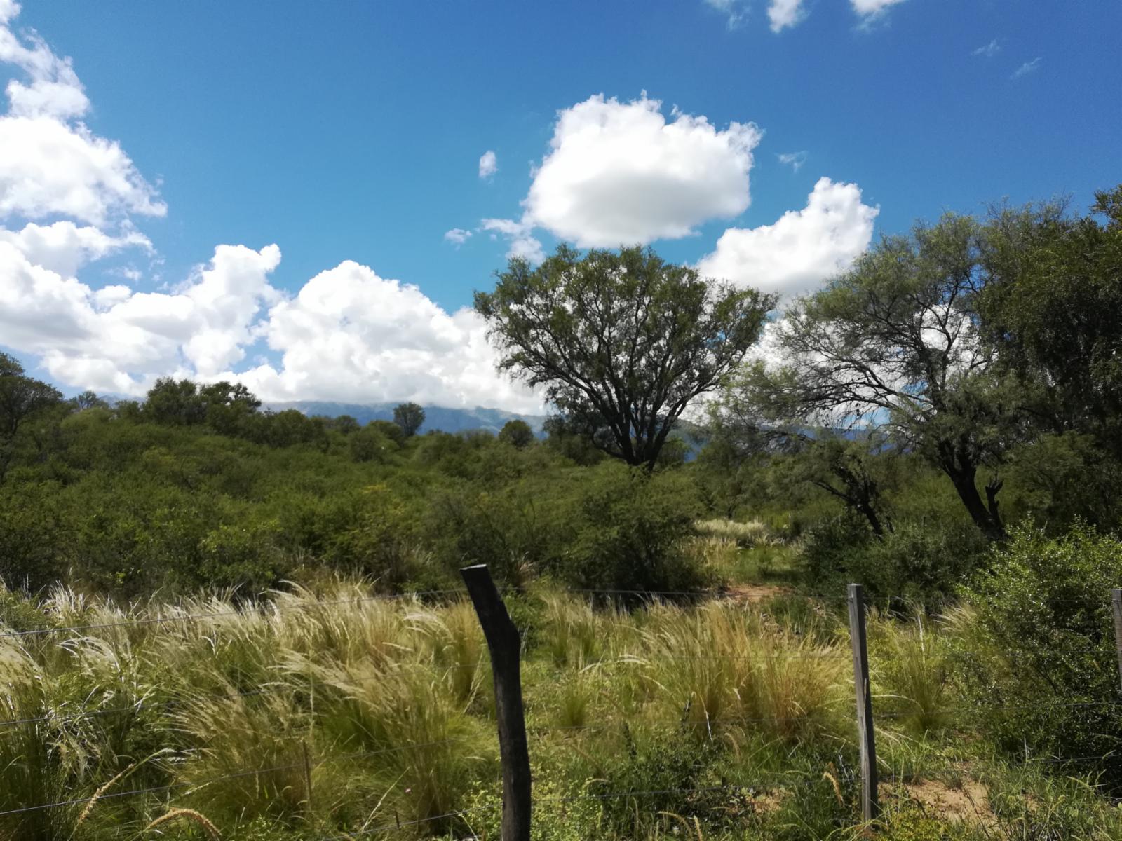 Terreno con vista a la sierra en Barranca de los Loros, Villa de las Rosas, Traslasierra — foto 3