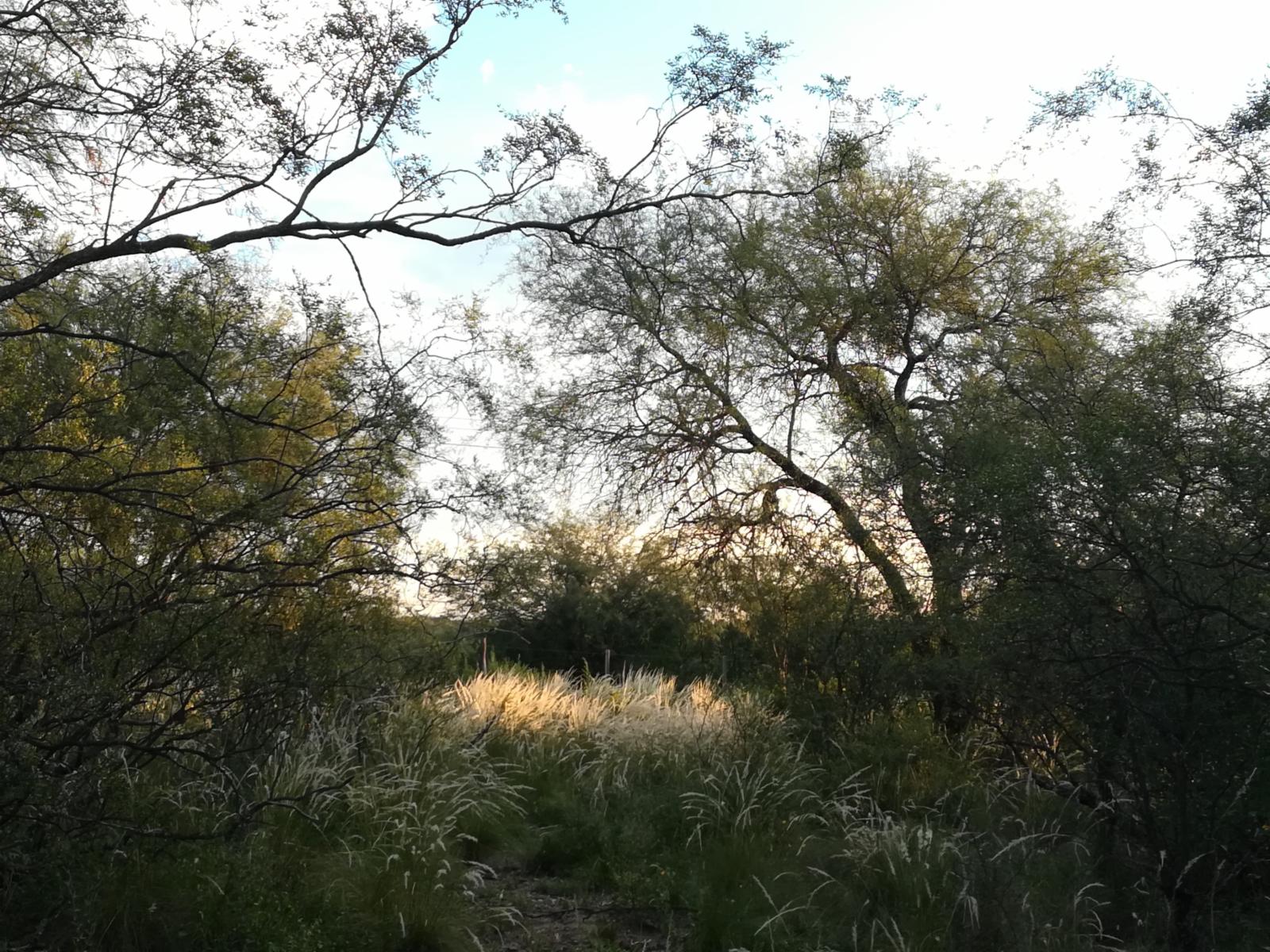 Terreno con vista a la sierra en Barranca de los Loros, Villa de las Rosas, Traslasierra — foto 4