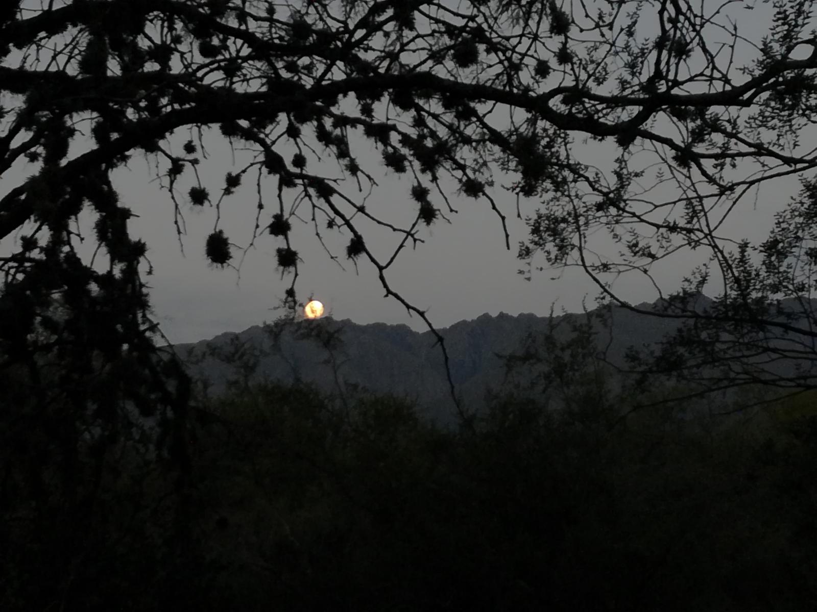 Terreno con vista a la sierra en Barranca de los Loros, Villa de las Rosas, Traslasierra — foto 5
