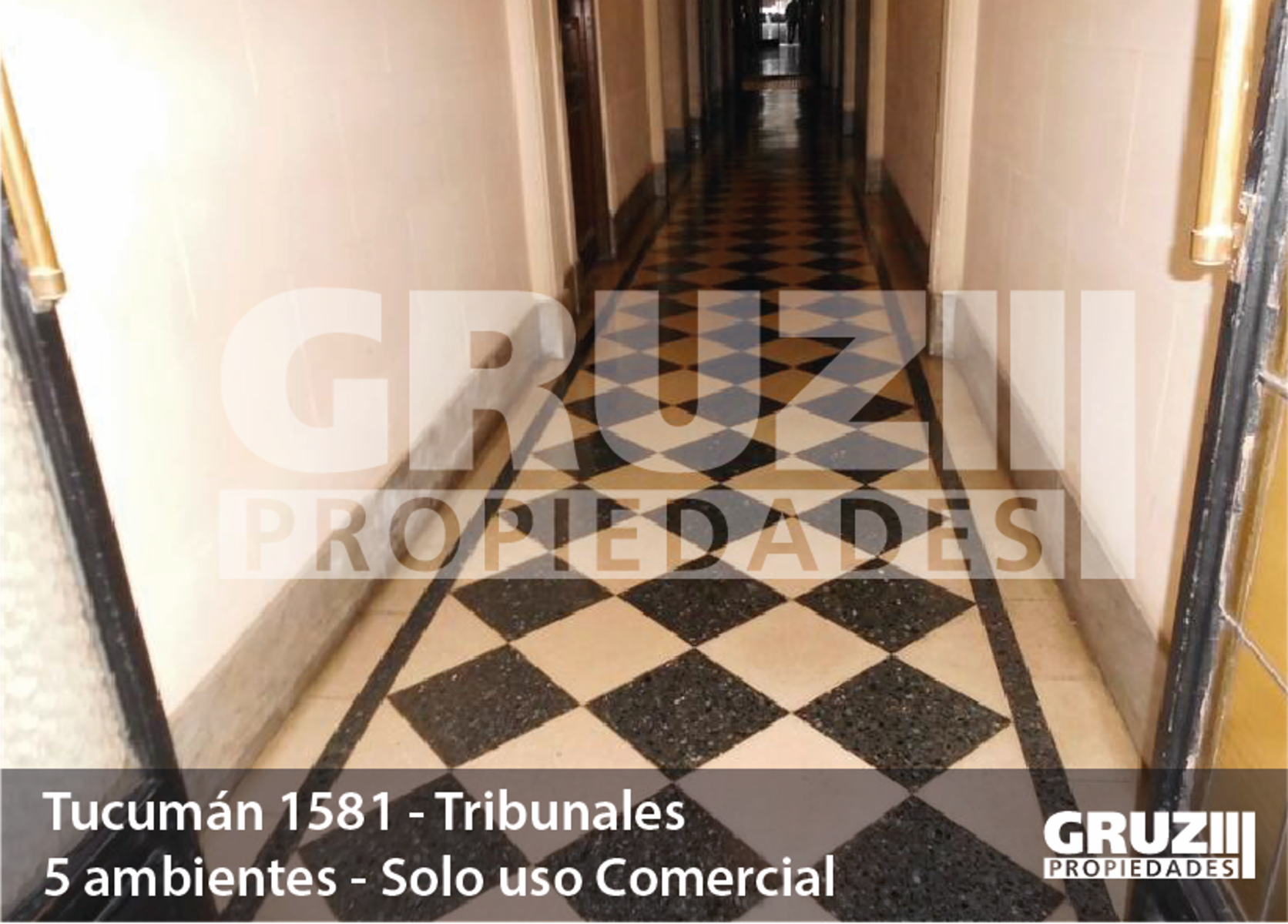 DEPARTAMENTO DE 5 AMB. EN ALQUILER EN TRIBUNALES - 4