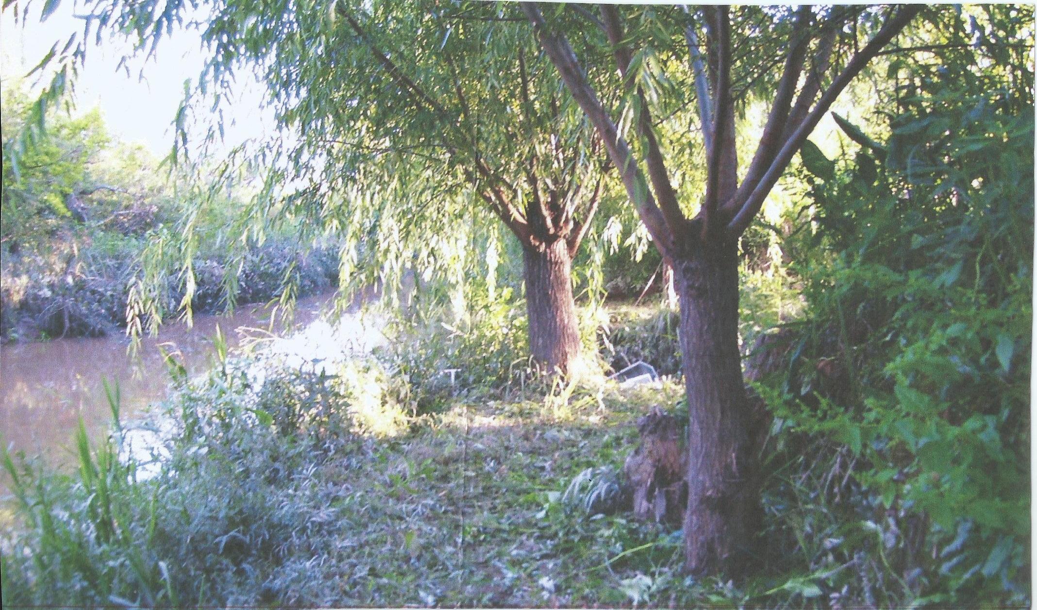 LOTE DE 4.633 M2. A 10 MINUTOS PUERTO DE TIGRE - 1