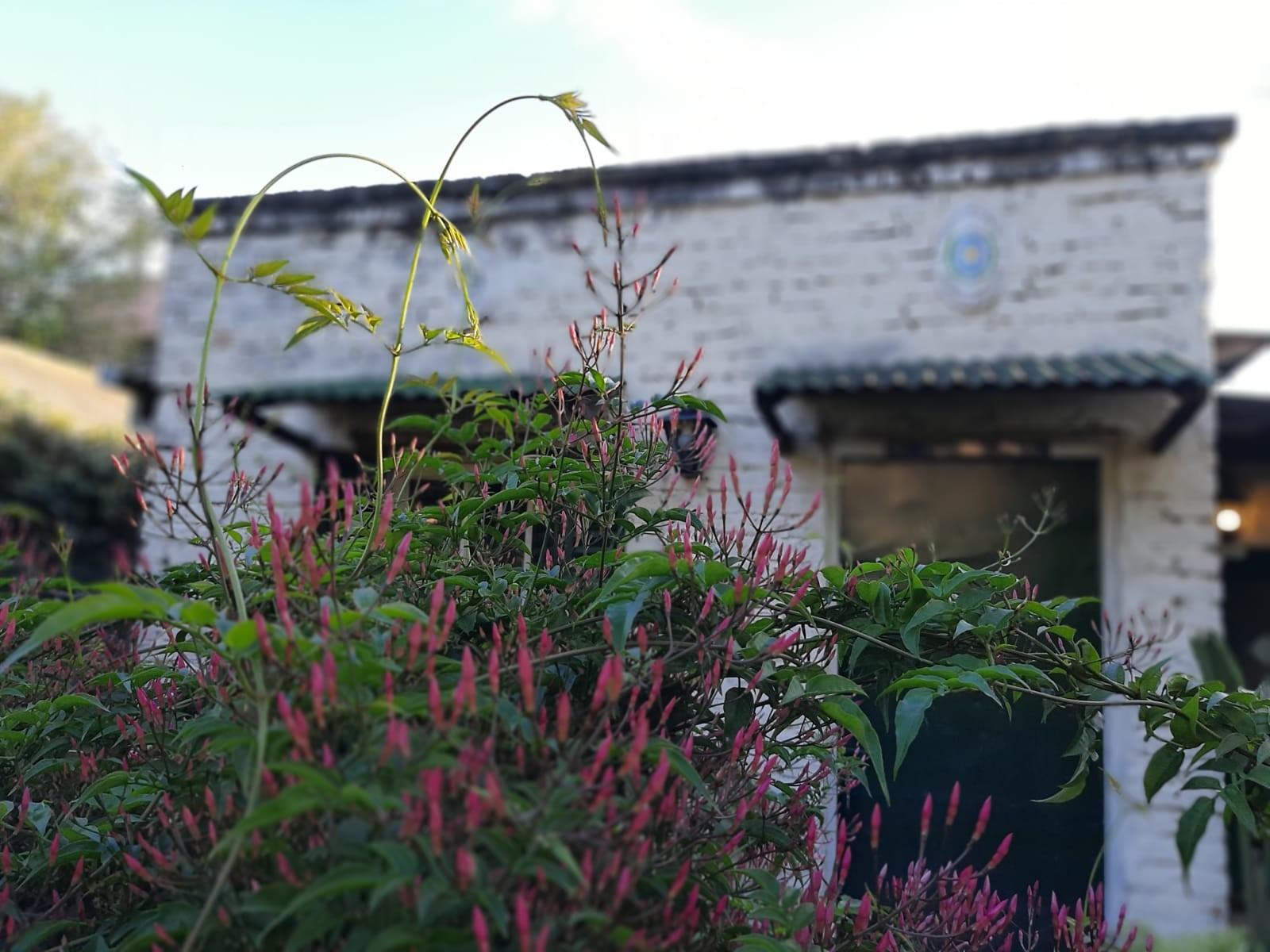 NUEVO VALOR Haedo Chico Casa de época. Propiedad de excelente ubicación Libertad al 500 frente a la calle Estrada. Lote de 591 m2 SE ESCUCHAN OFERTAS — foto 12