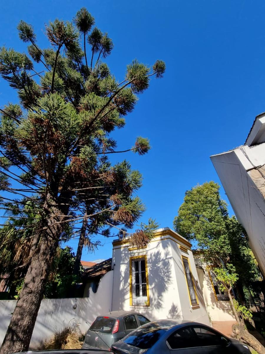 NUEVO VALOR Haedo Chico Casa de época. Propiedad de excelente ubicación Libertad al 500 frente a la calle Estrada. Lote de 591 m2 SE ESCUCHAN OFERTAS — foto 14