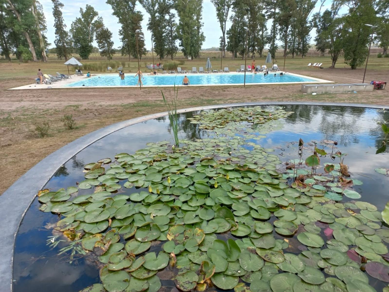 OPORTUNIDAD POR VALOR DE VENTA Ideal inversión. Barrio Tres Pinos Lote Barrio la Isla 1000 m2 — foto 6