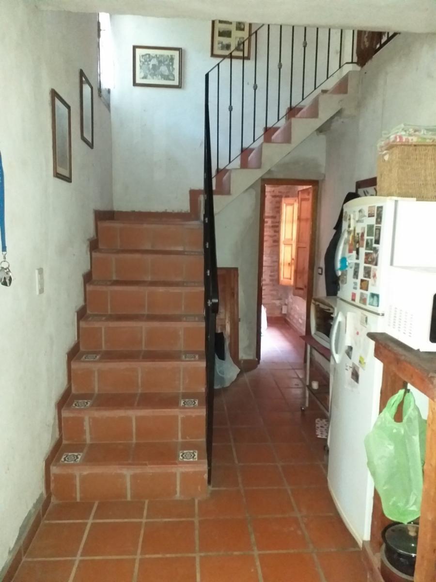Juan J. Castro 700 Gral. Rodriguez - Quinta 3 ambientes en venta — foto 5
