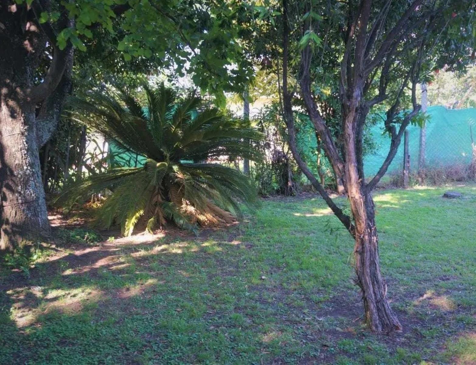 Casa 3 ambientes con fondo - Carabobo 3800 Villa Luzuriaga — foto 3