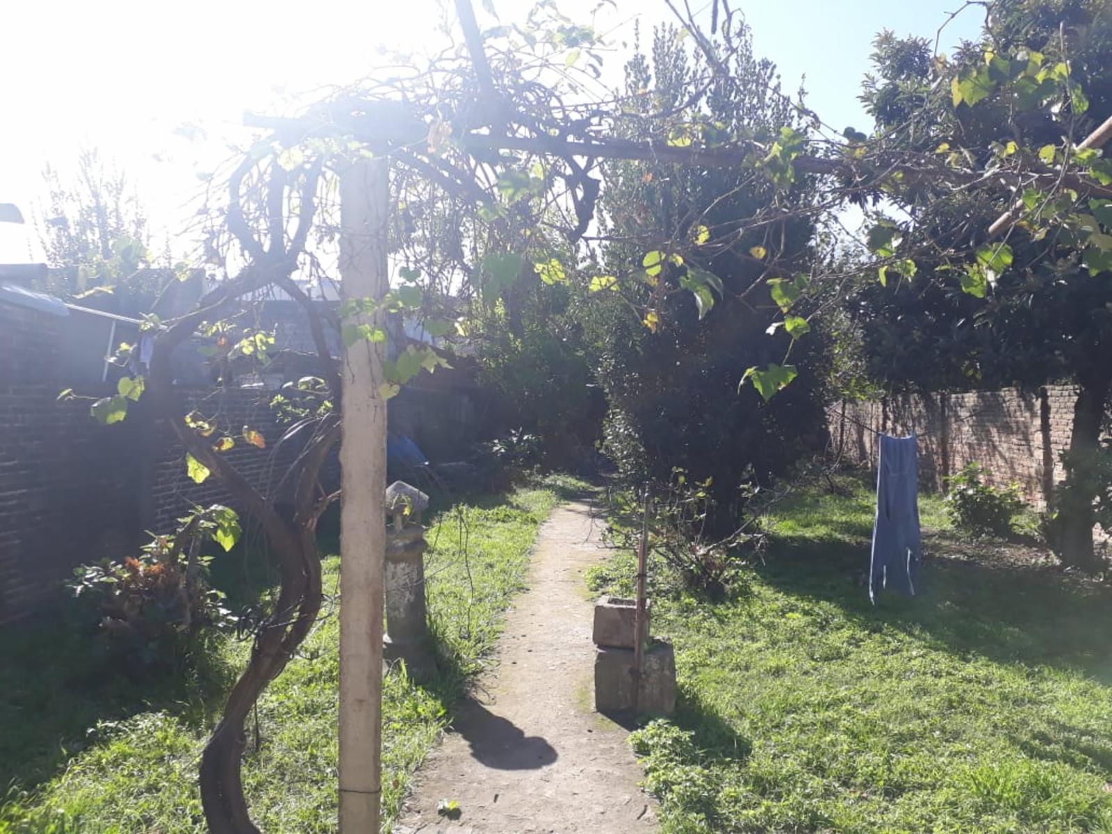 CASA CON LOCAL EN LOTE PROPIO DE 3 AMBIENTES. — foto 4