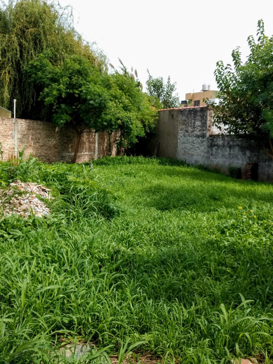 CASA PH PLANTA BAJA DE 2 AMBIENTES CON FONDO Y JARDIN. — foto 8