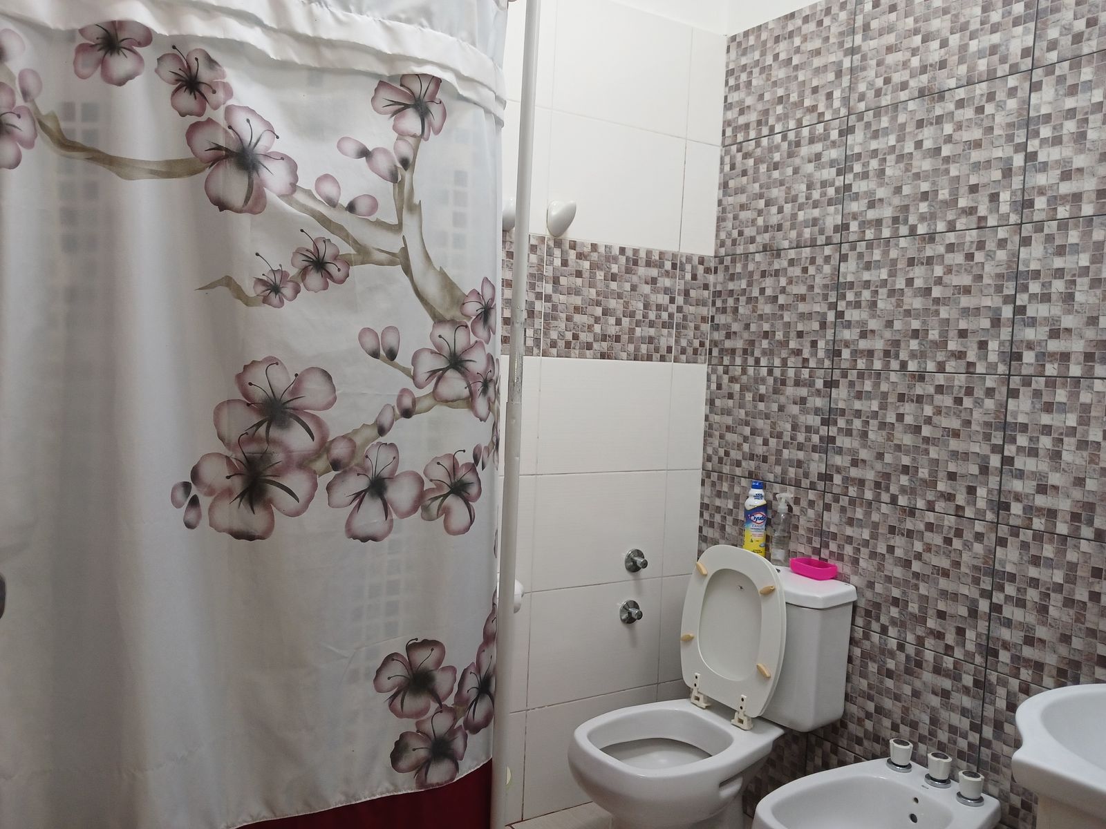 Casa 3 amb.+ Depto. 2 amb. y coch. — foto 6