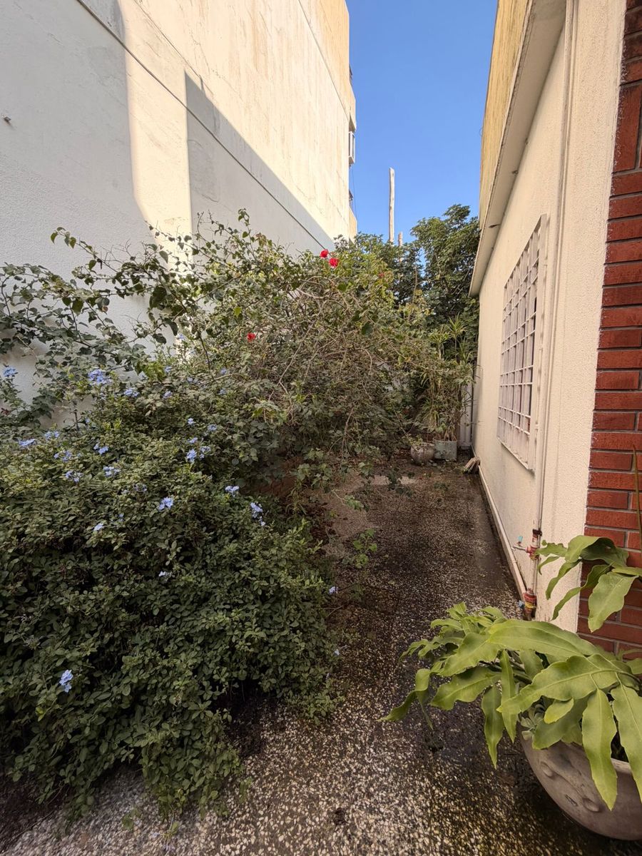 CASA 3 AMB LOTE PROPIO - 5