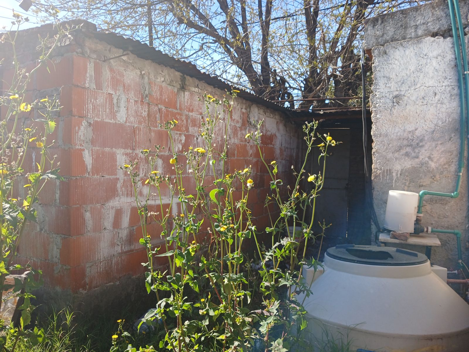 Casa 3 amb,local+monoamb.PA - 16