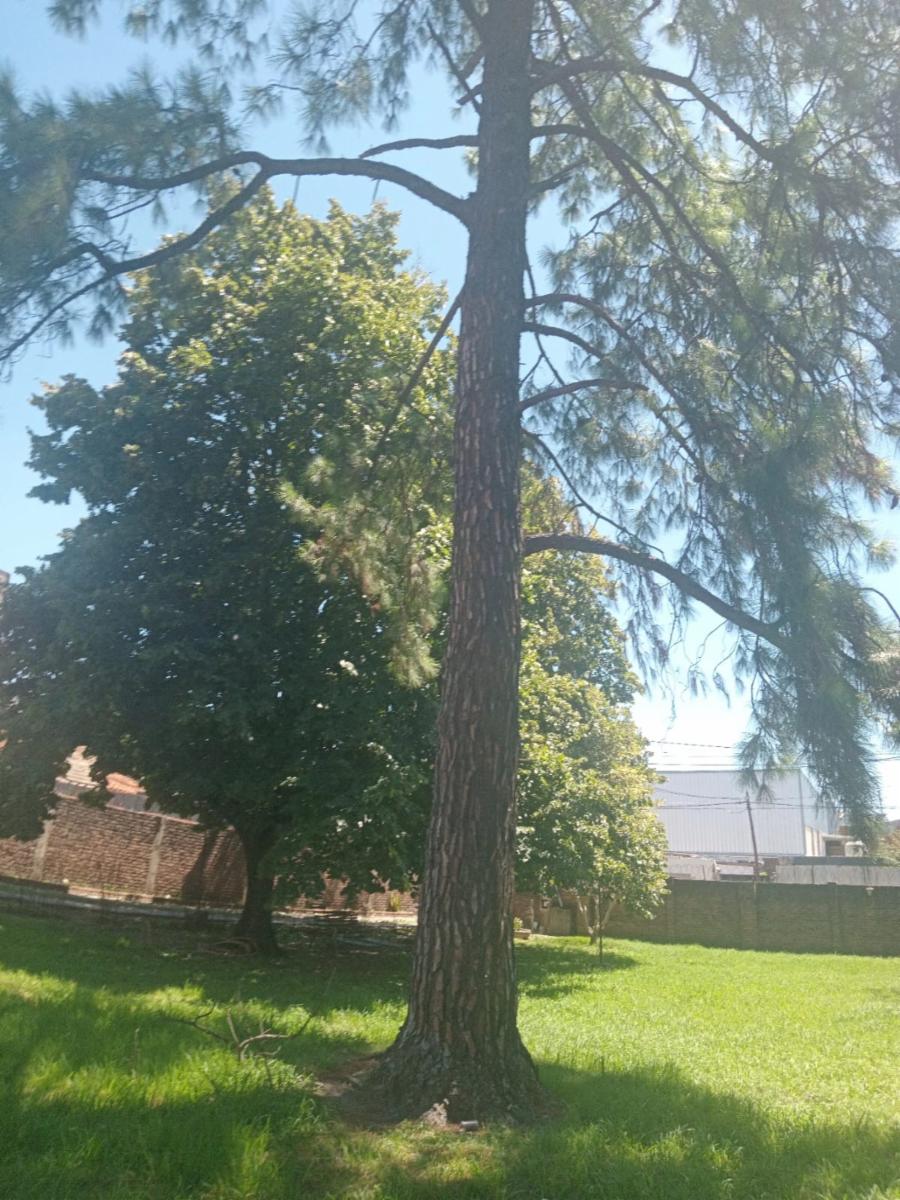 Quinta en Venta en José C. Paz, José C. Paz, Buenos Aires - 7