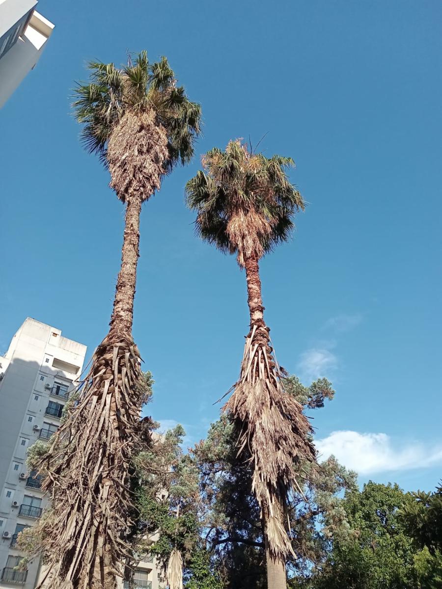 VENTA gran Oportunidad casa céntrica — foto 4