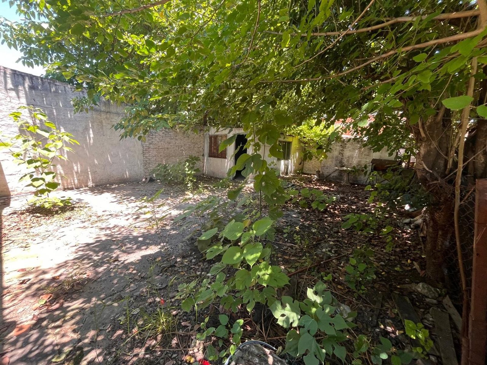 VENTA de casa a reciclar, sobre asfalto, zona Chile y Muñoz — foto 13