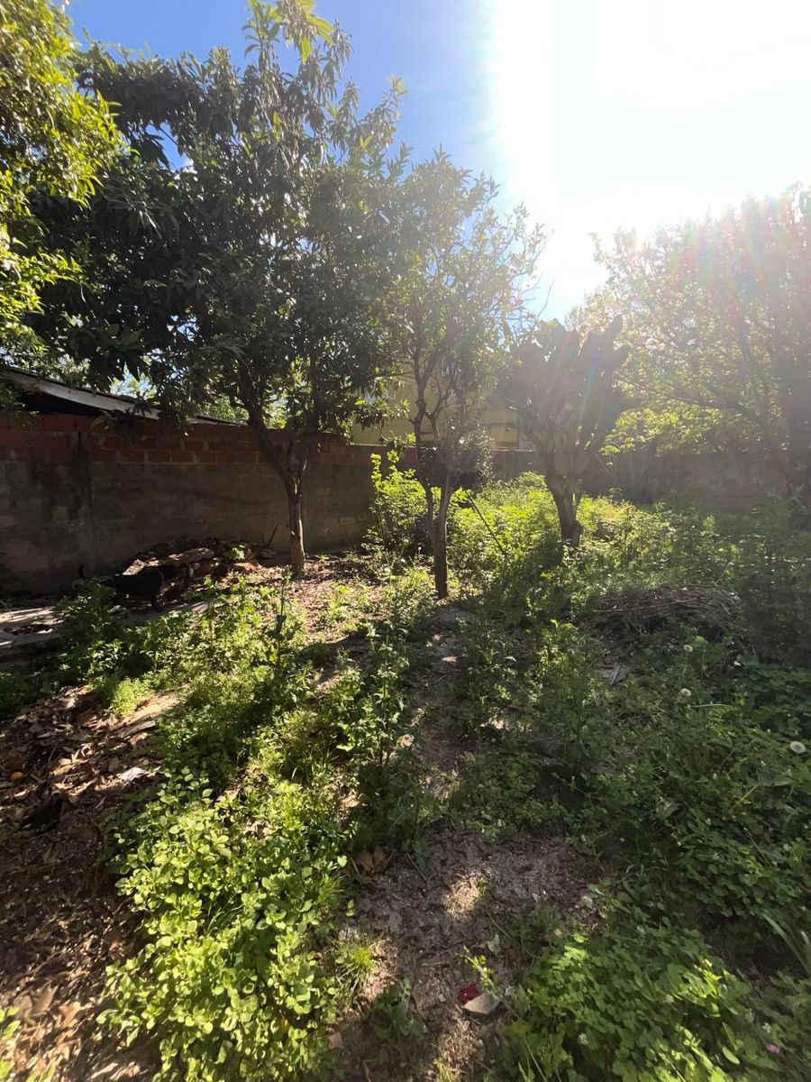 Venta casa para reciclar MUY INTERESANTE Atención, leer descripción — foto 14