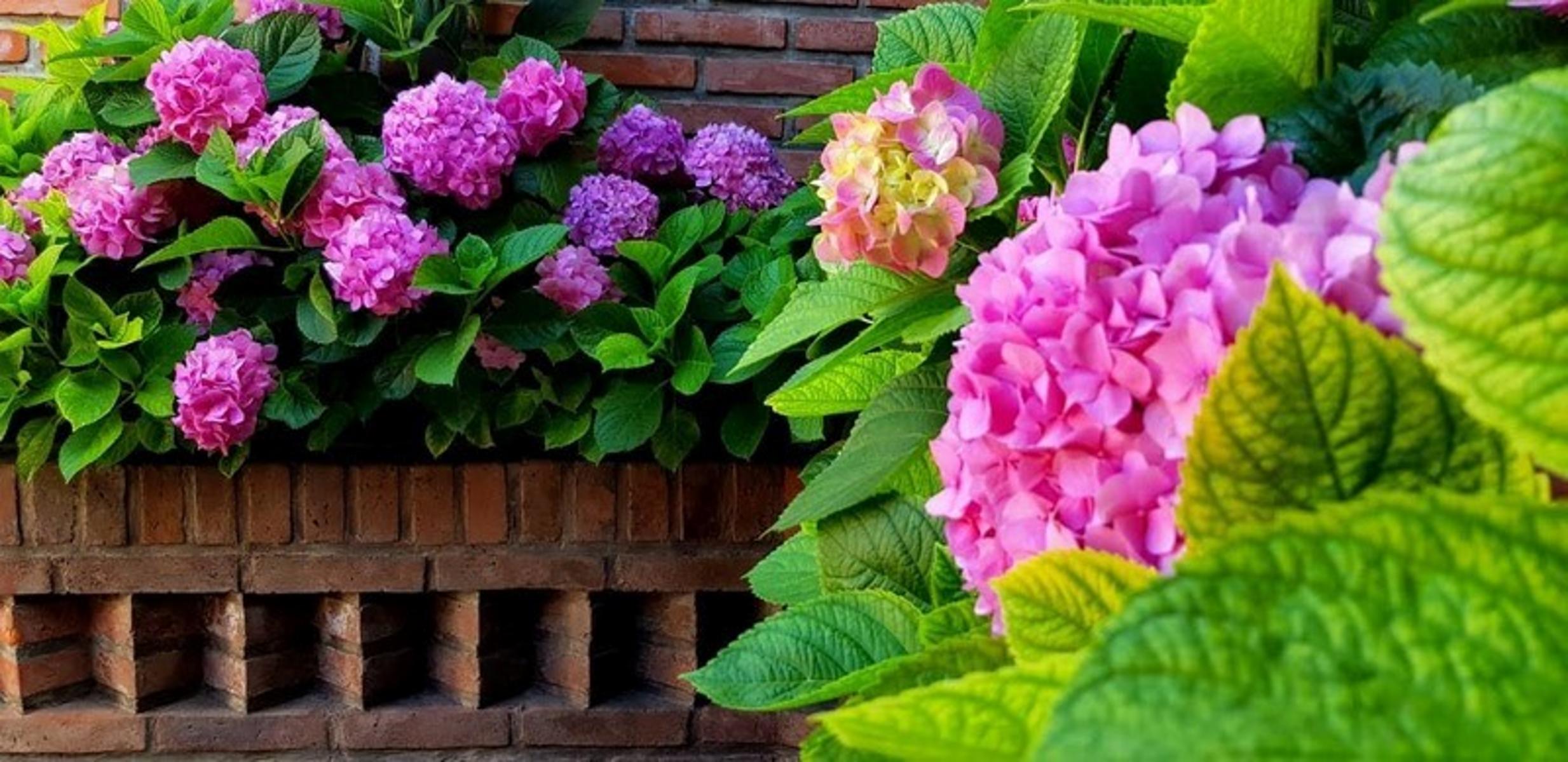 PH. TIPO CASA AL FRENTE — foto 9