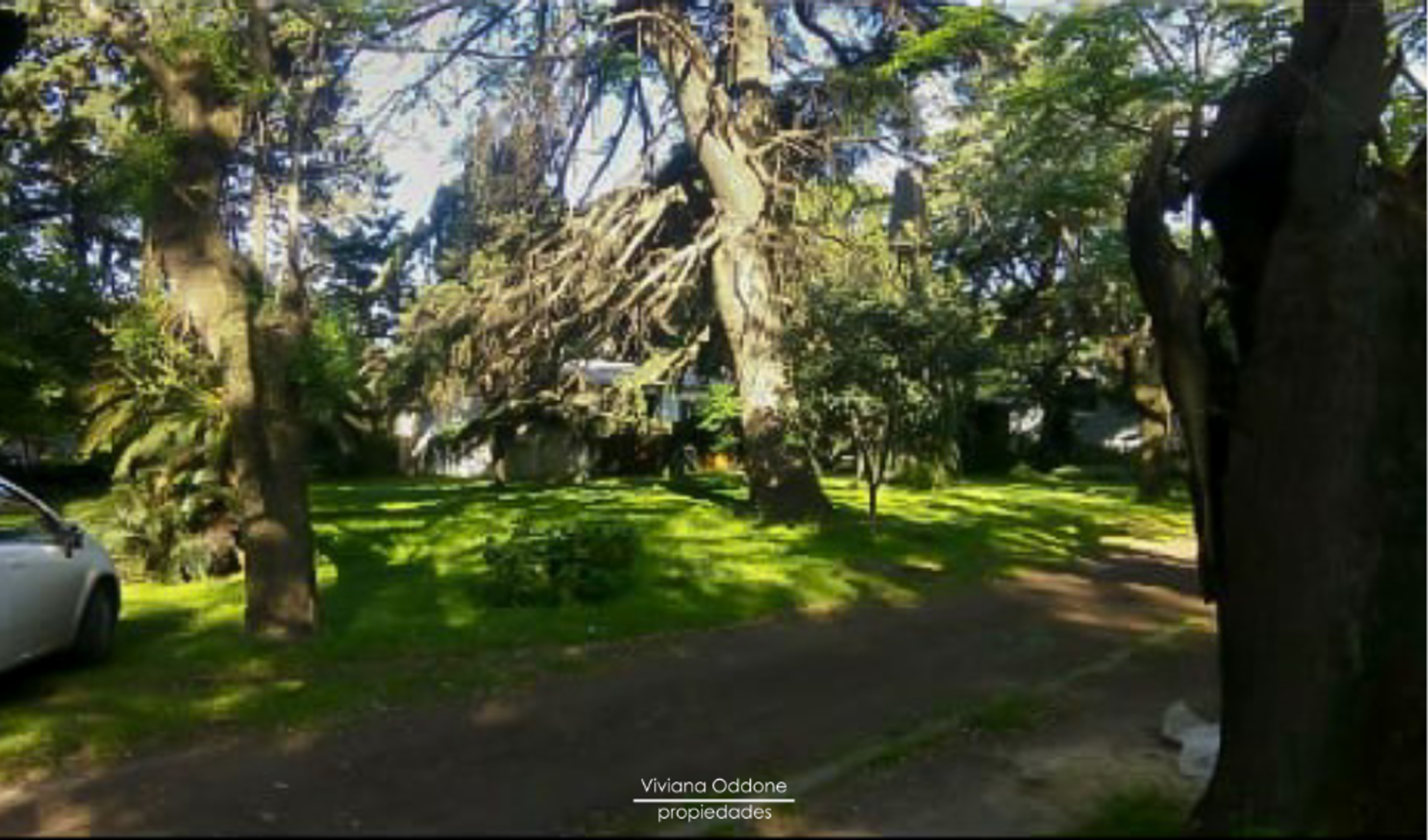 Venta Quinta sobre R21 - 3