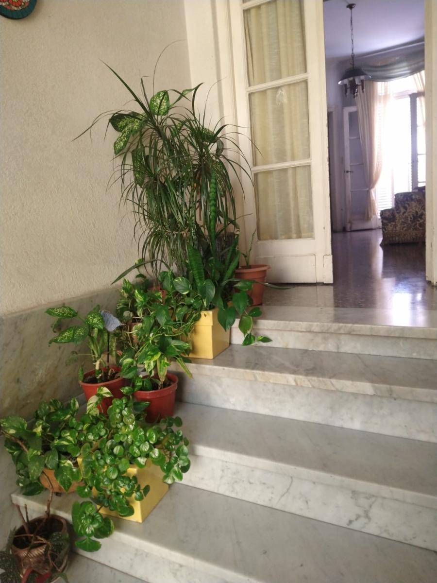Vende Casa, Lote Propio 7amb Con Patio, Garage Y Terraza
