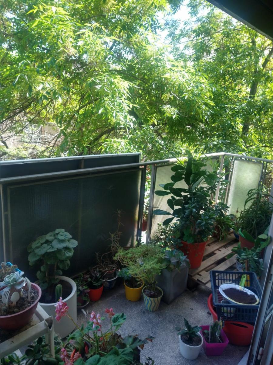 Vende Depto 3 Ambientes Con Balcon Al Frente En Paternal — foto 9