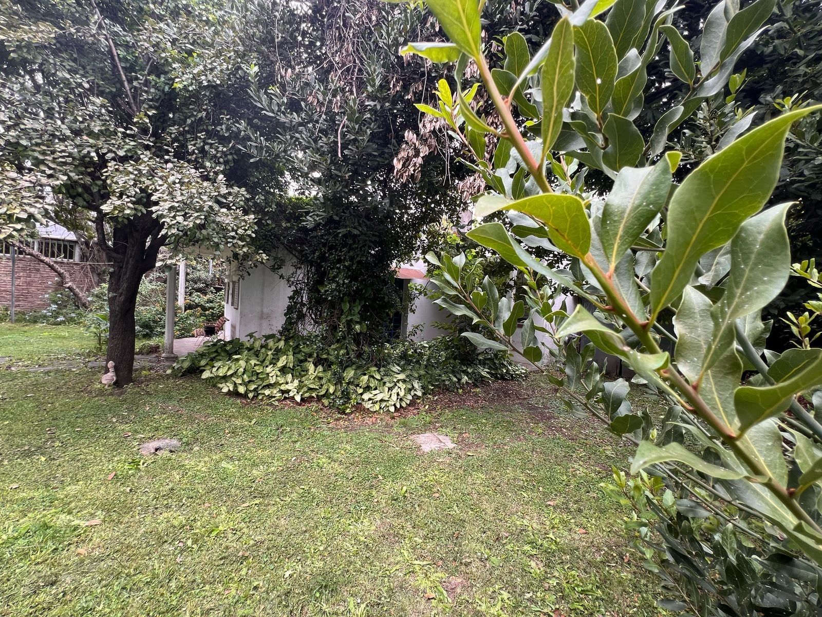 Lote Único En Villa Luzuriaga 17.32 M De Frente - 1.182,35 M²DeConstrucción Permitida — foto 10