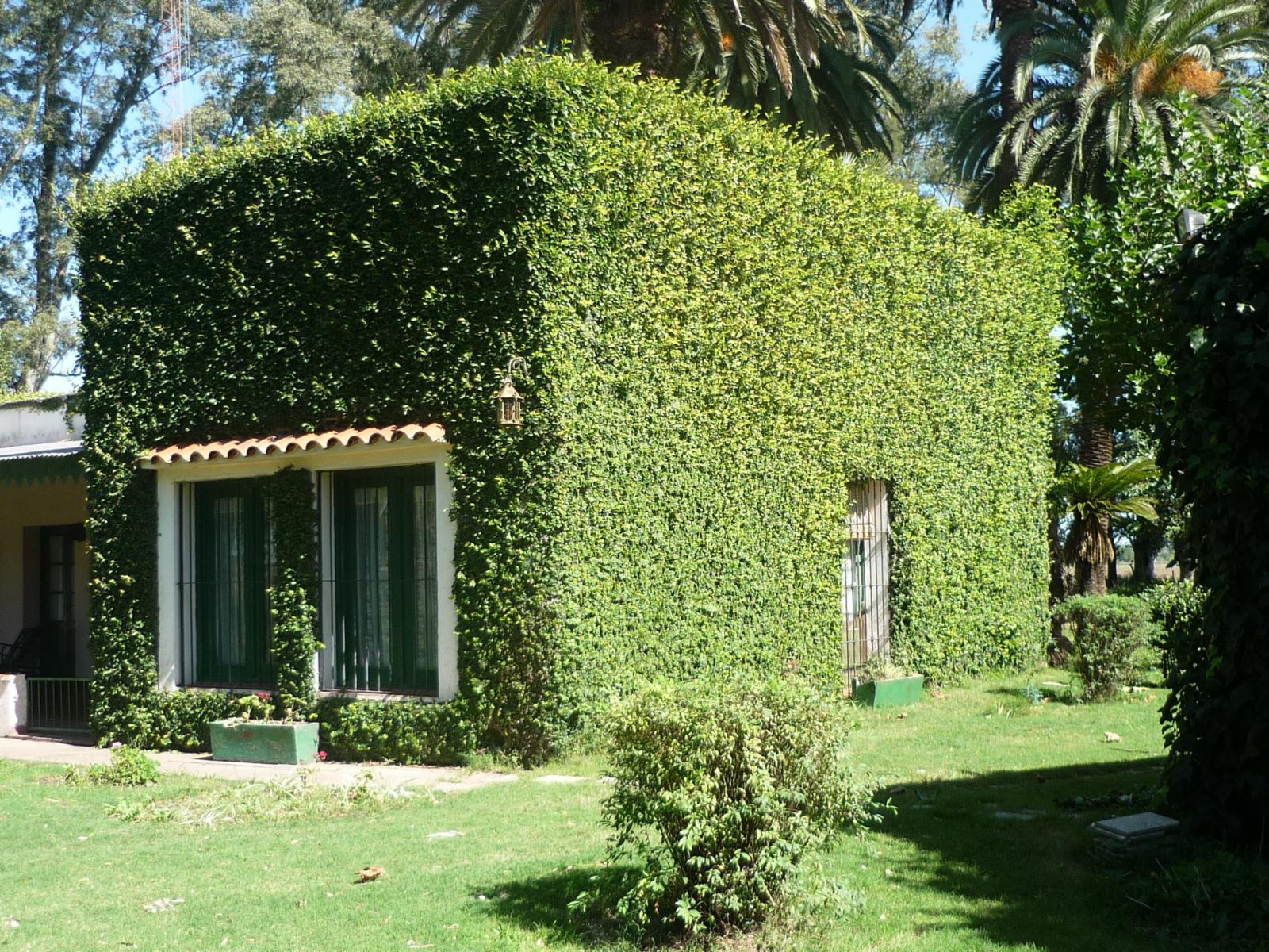 Fracción de 6 has. de campo con vivienda