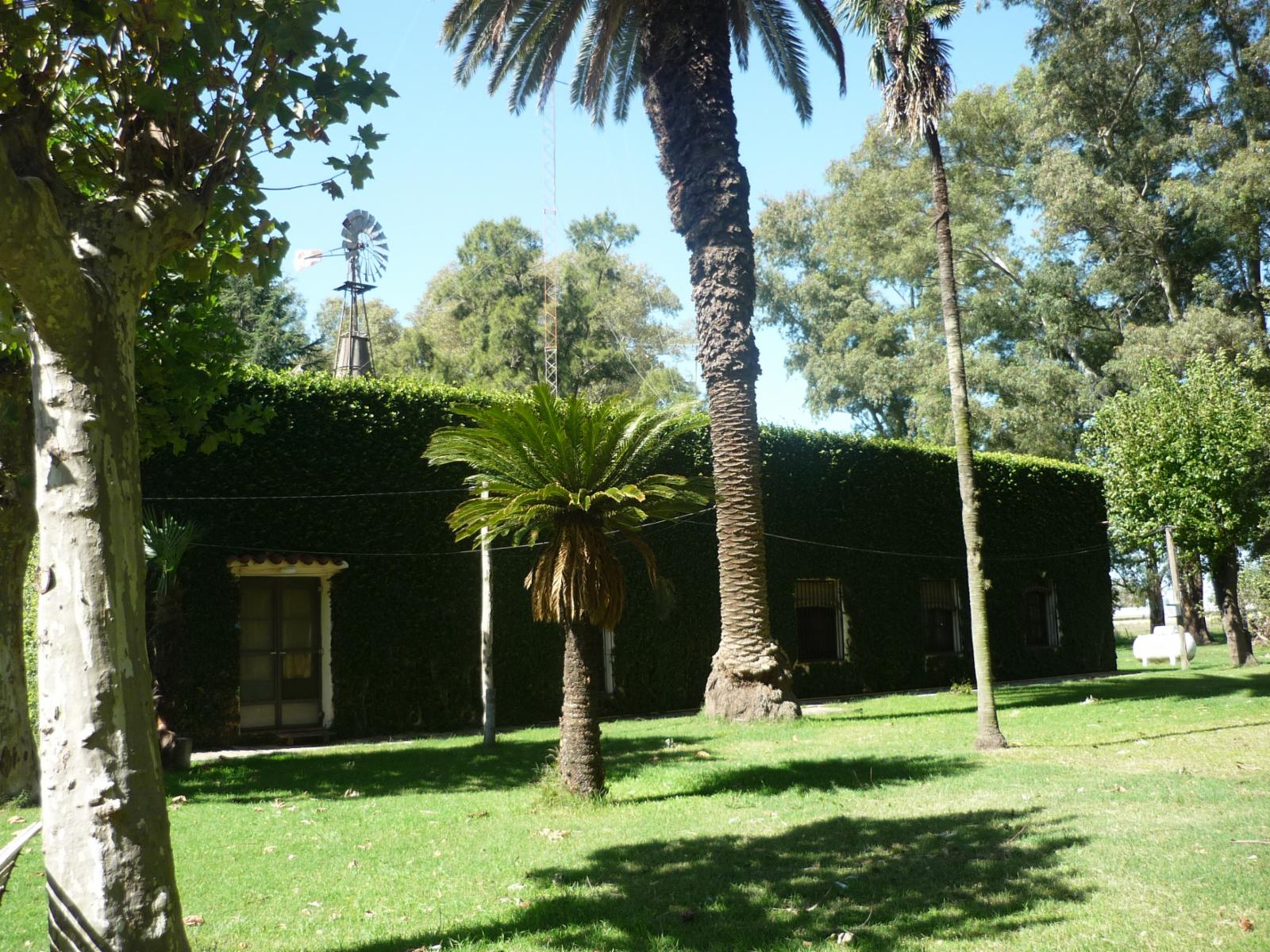 Fracción de 6 has. de campo con vivienda — foto 2