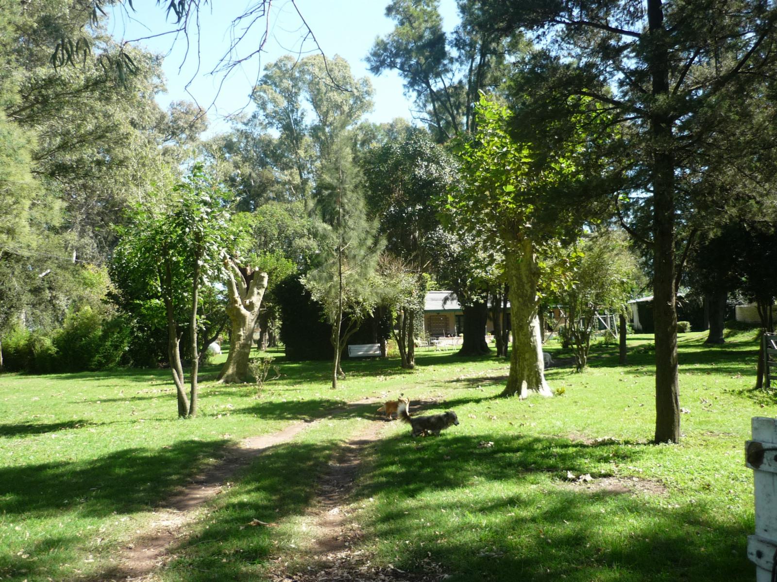 Fracción de 6 has. de campo con vivienda — foto 6