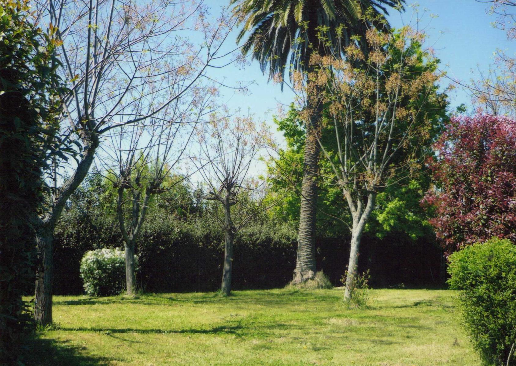 Excelente casa quinta - 3