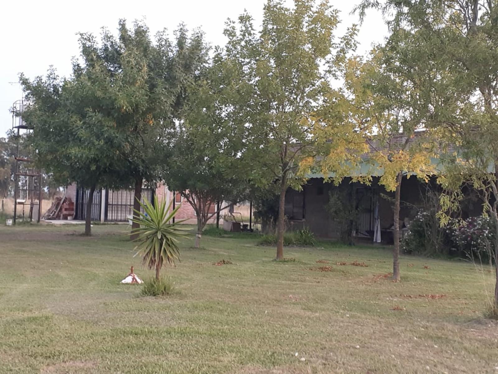 Excelente oportunidad 6 hectáreas en el camino a Lozano — foto 4