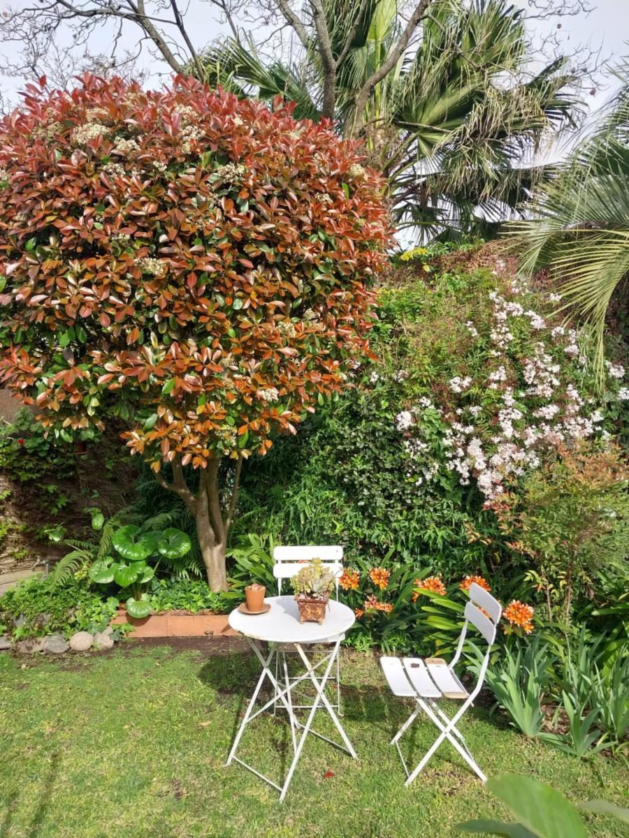 casa céntrica en excelente ubicación — foto 10