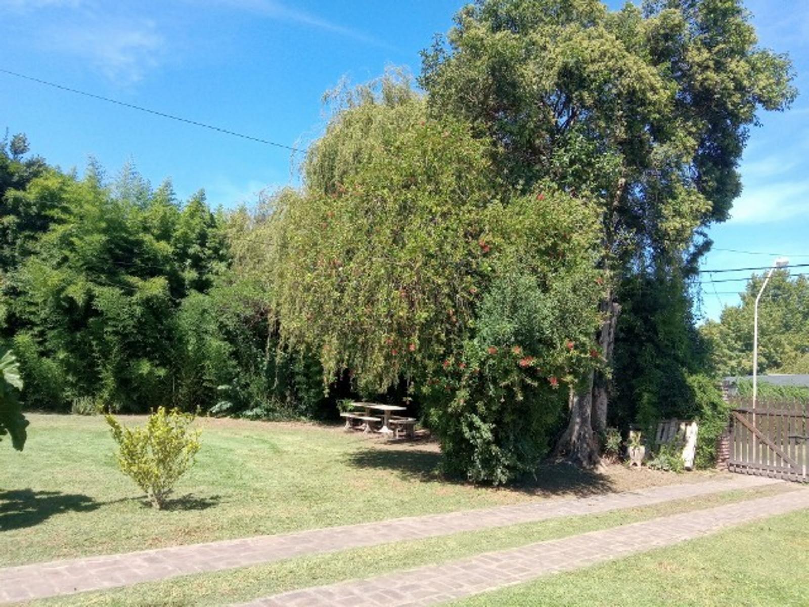 excelente esquina con vivienda antigua a refaccionar — foto 3