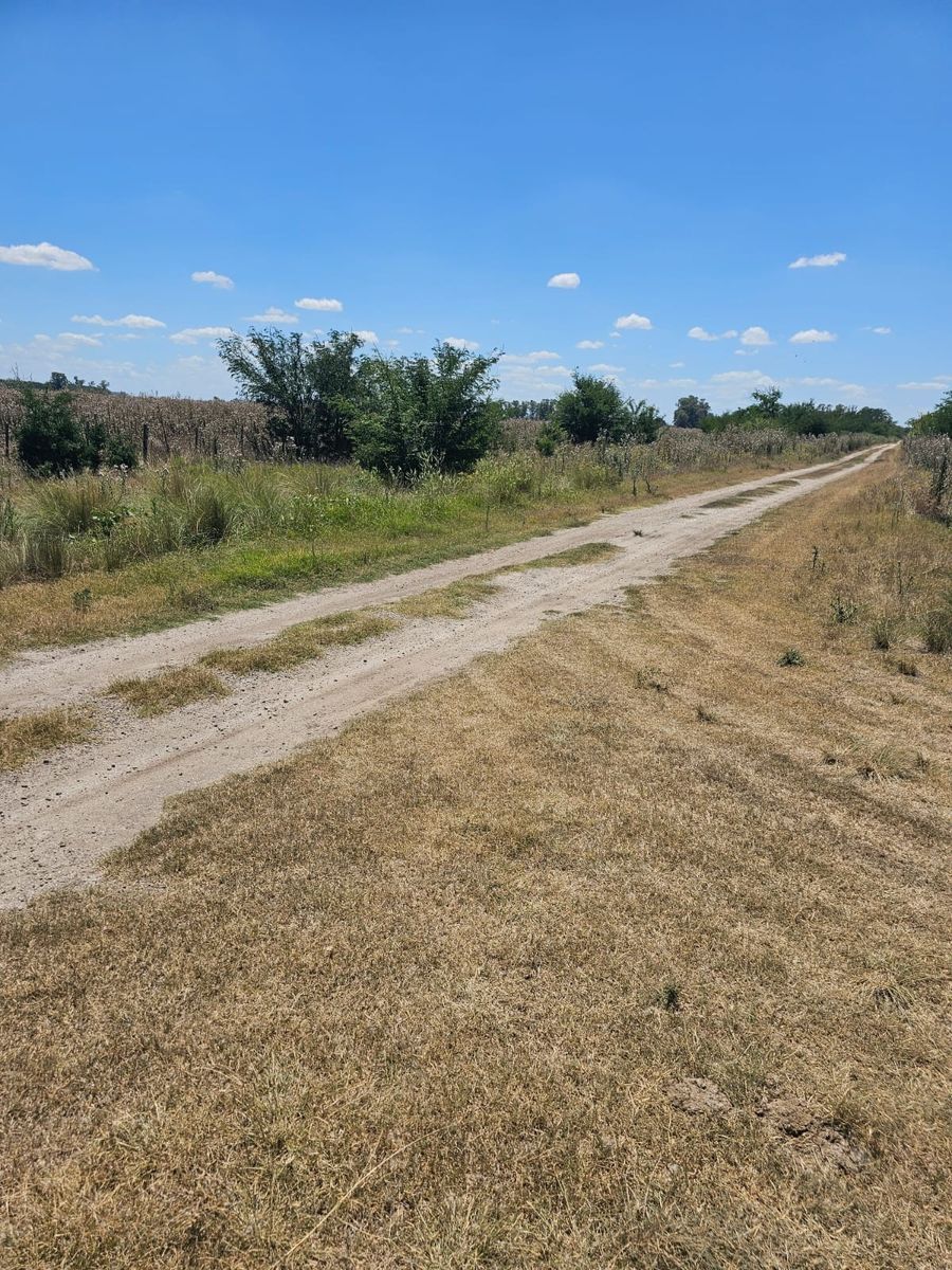 Excelente oportunidad 2 fracciones de campo en la localidad deEnrique Fynn. — foto 2