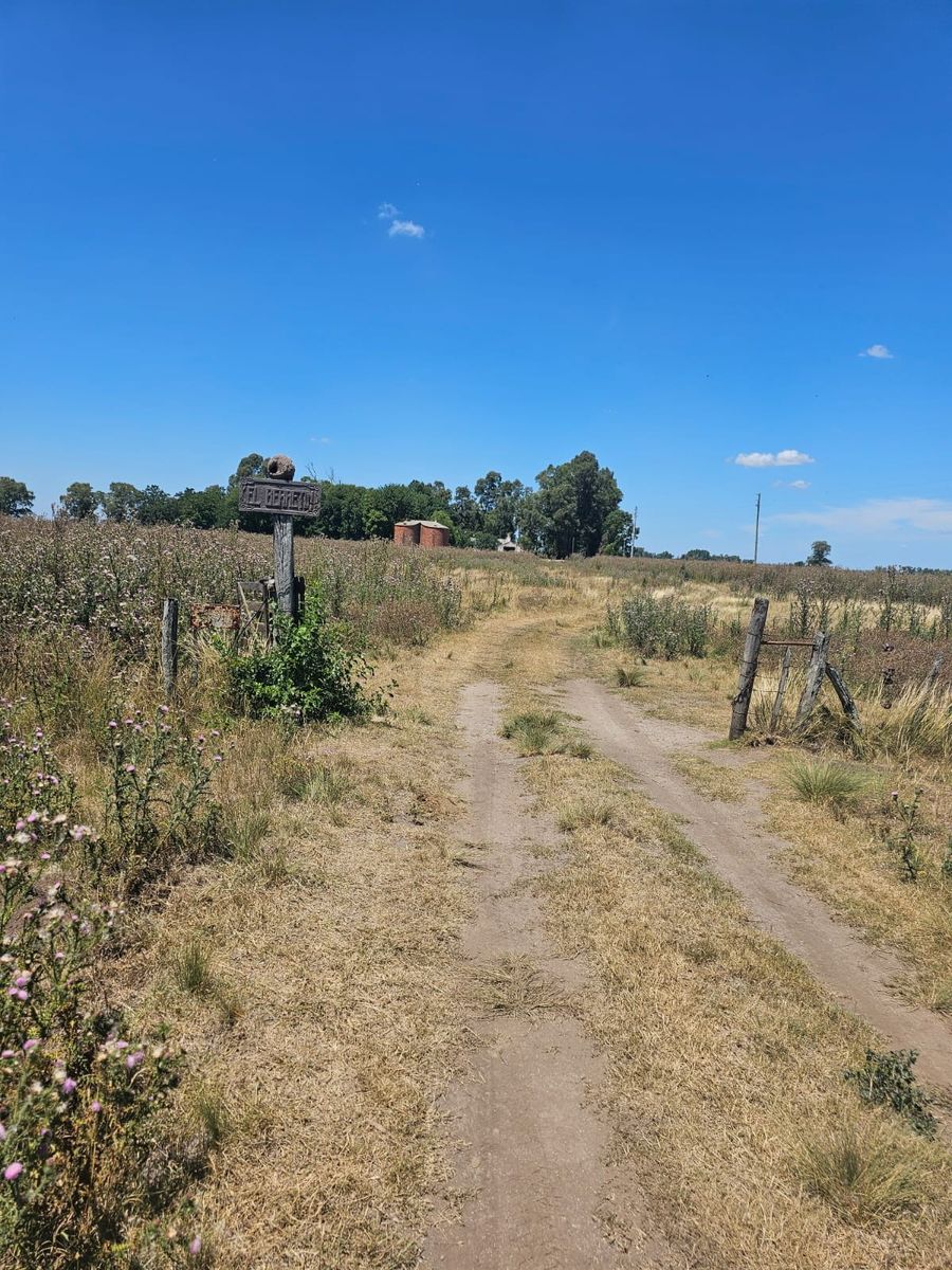 Excelente oportunidad 2 fracciones de campo en la localidad deEnrique Fynn. — foto 3