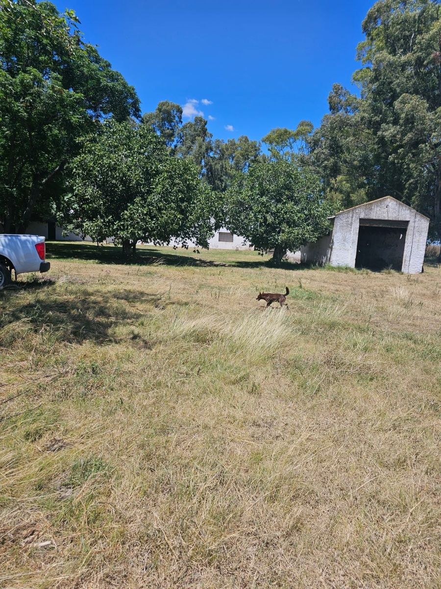 Excelente oportunidad 2 fracciones de campo en la localidad deEnrique Fynn. — foto 5