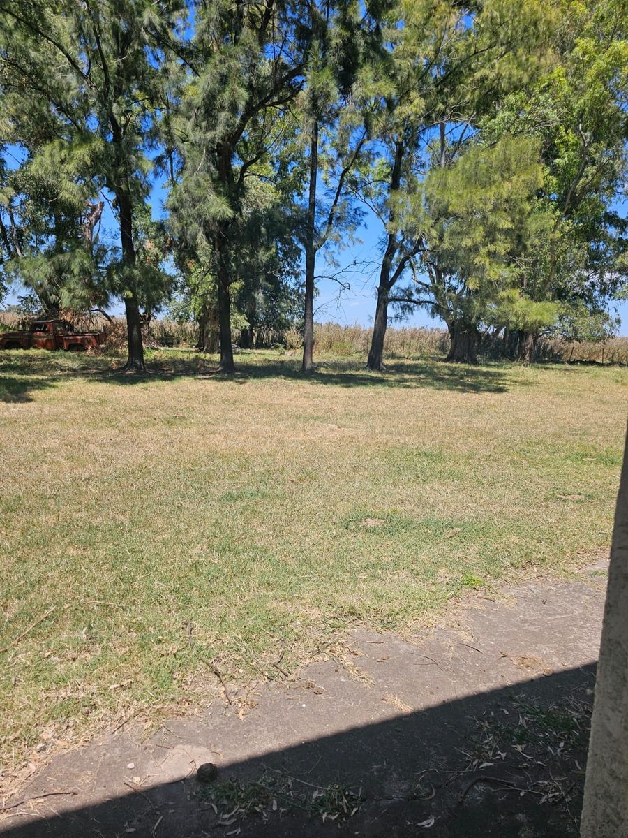 Excelente oportunidad 2 fracciones de campo en la localidad deEnrique Fynn. — foto 6