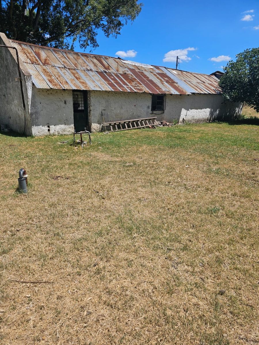 Excelente oportunidad 2 fracciones de campo en la localidad deEnrique Fynn. — foto 9