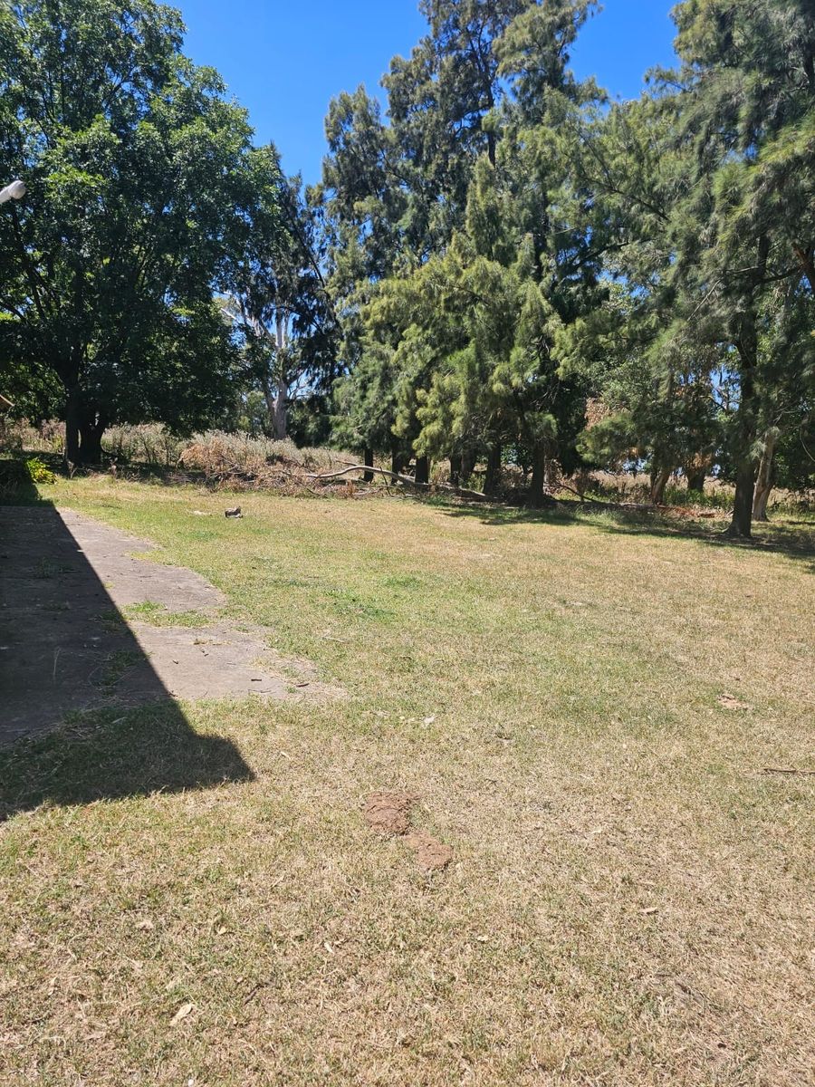 Excelente oportunidad 2 fracciones de campo en la localidad deEnrique Fynn. — foto 11